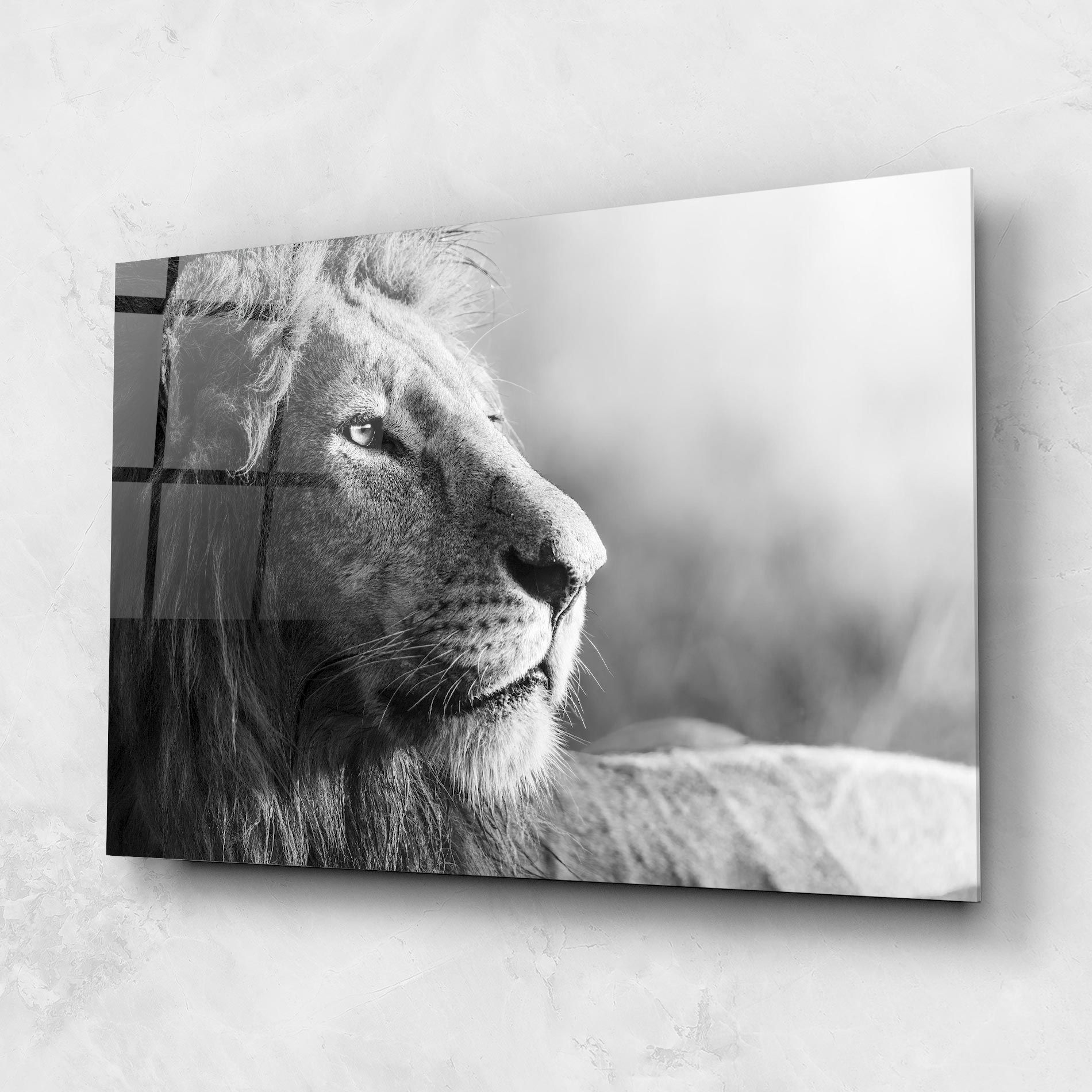 Grey Lion Head mockup 1