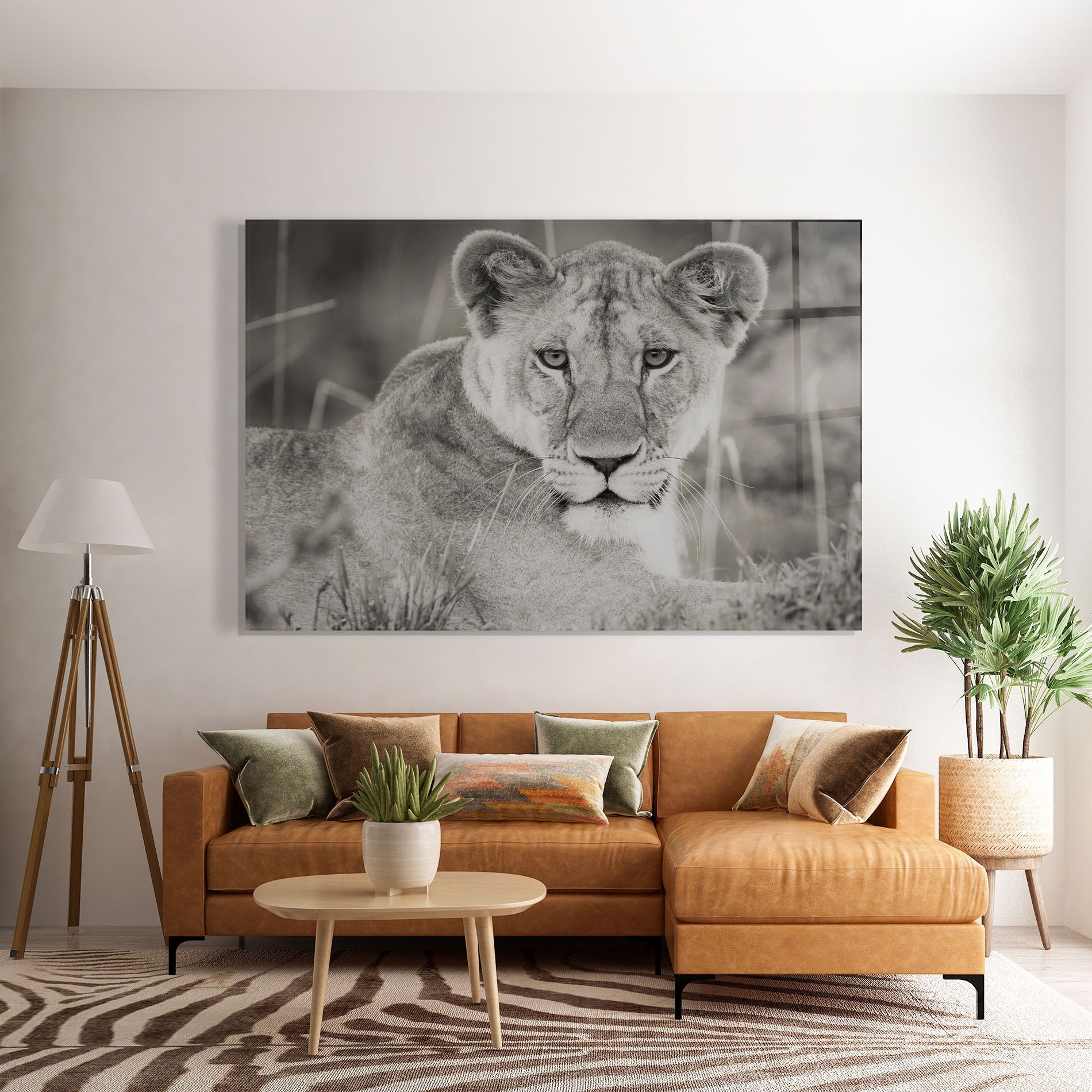 Grey Female Lion Looking mockup 7