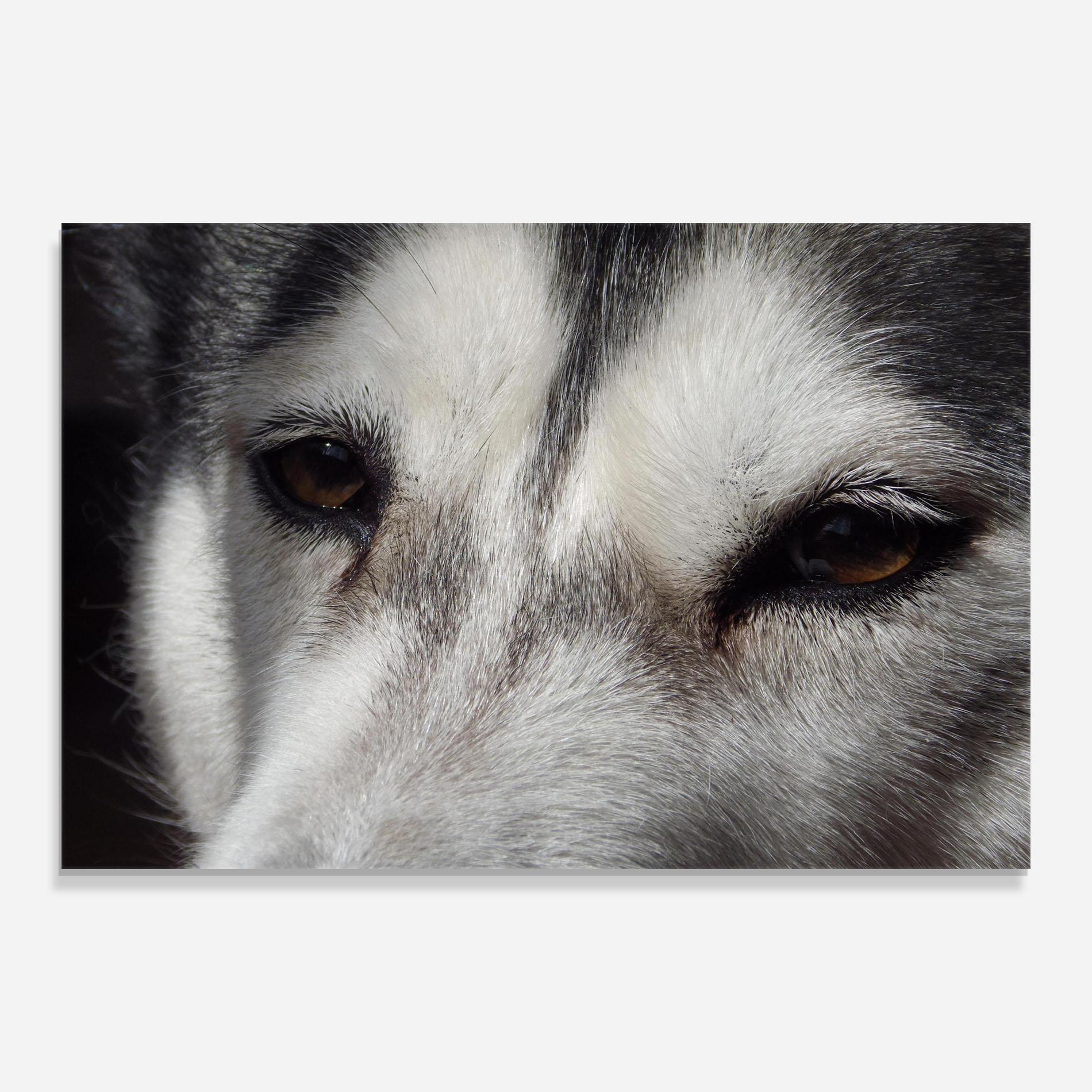 Стъклена картина Close Up Wolf mockup 0