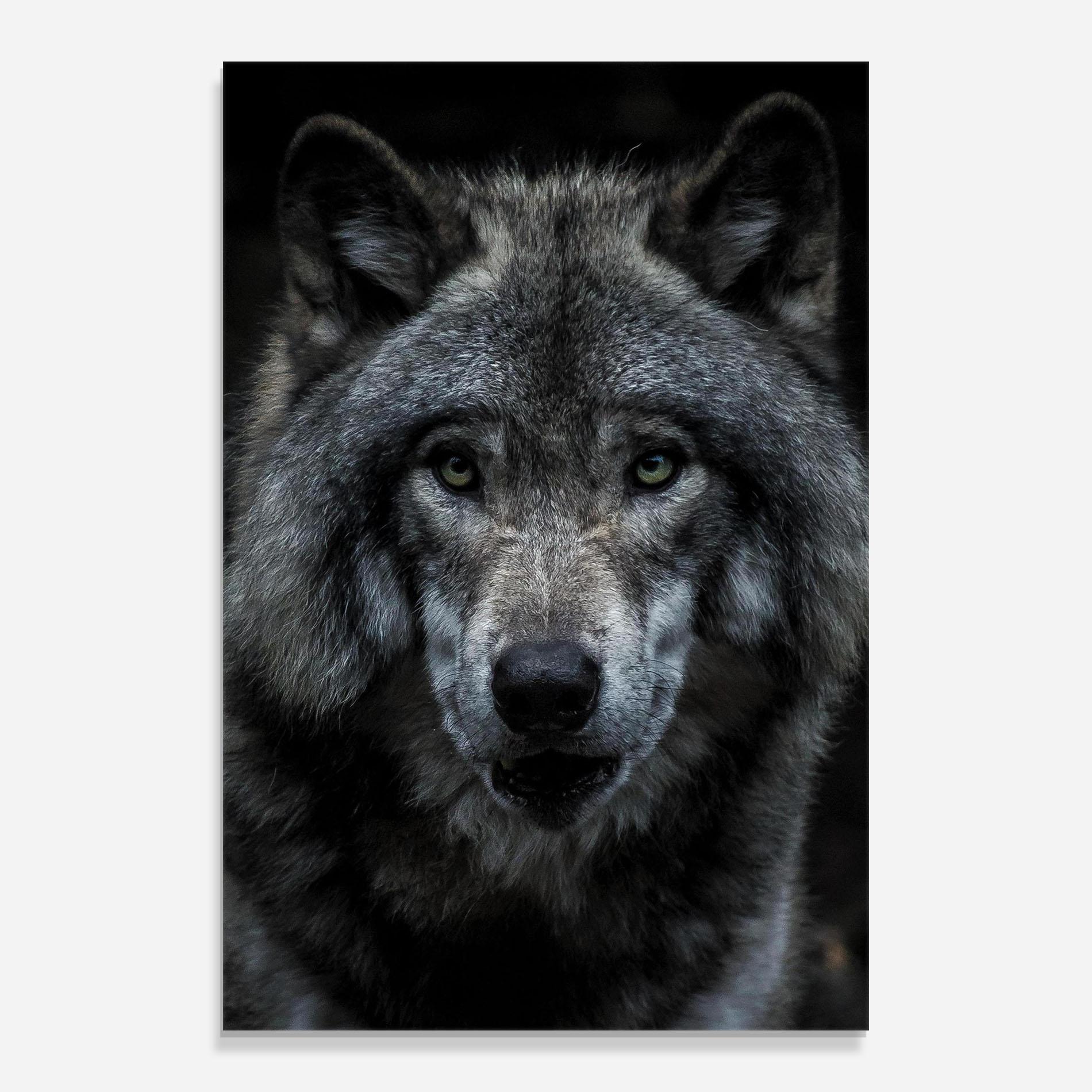 Стъклена картина Angry Wolf mockup 0