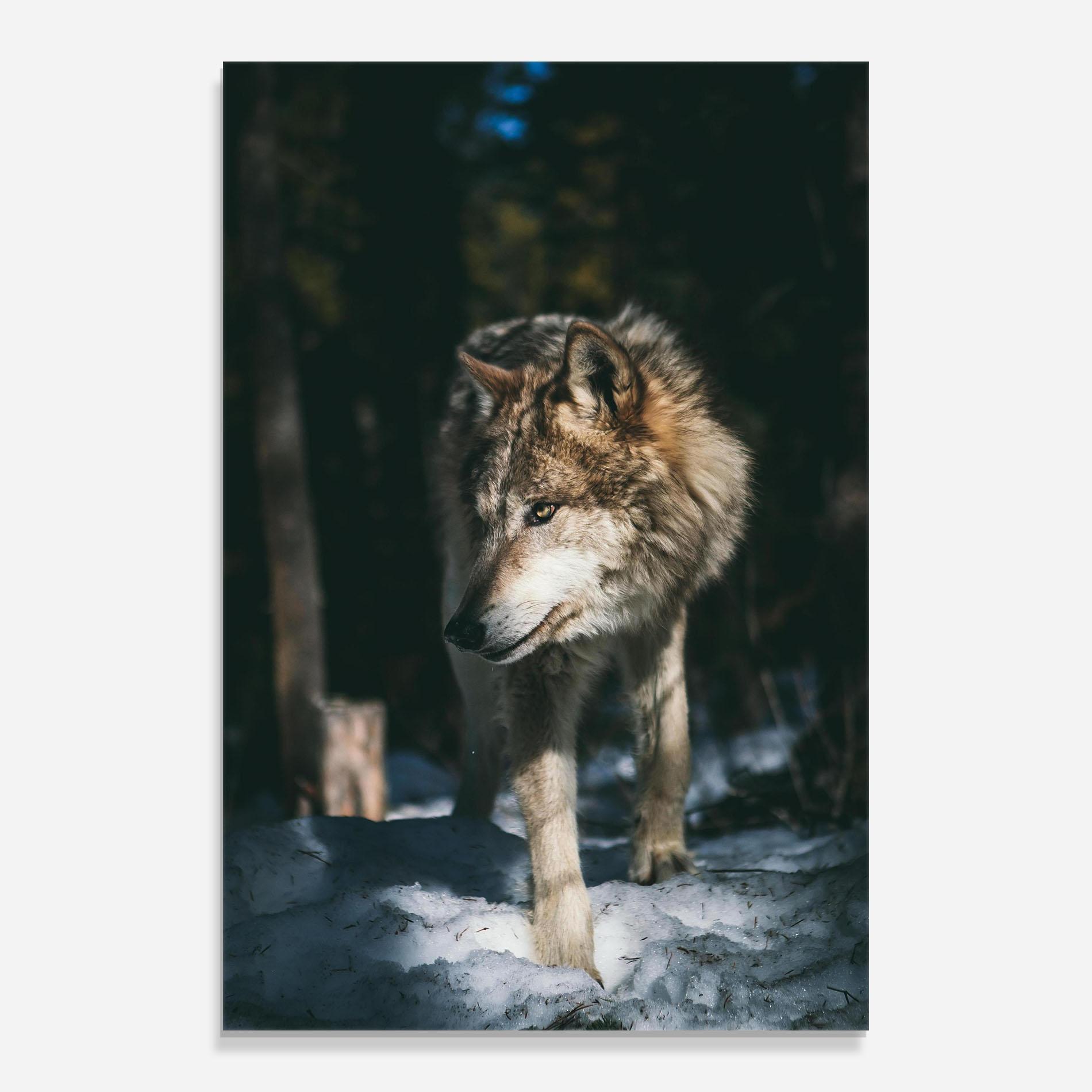 Стъклена картина Forest Wolf mockup 0