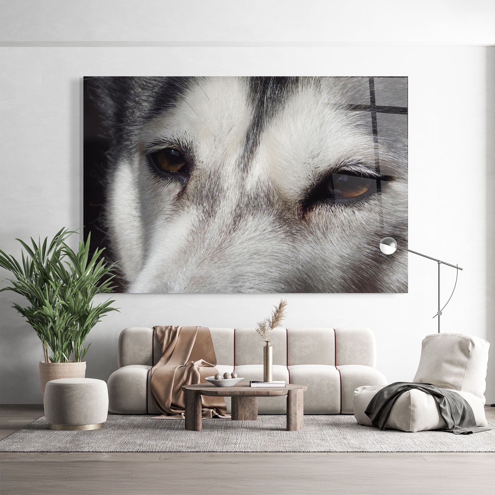 Close Up Wolf mockup 9
