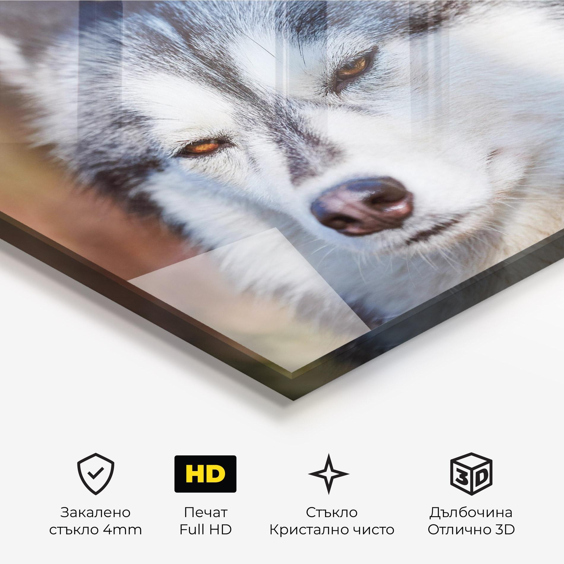 Стъклена картина Annoyed Wolf mockup 3