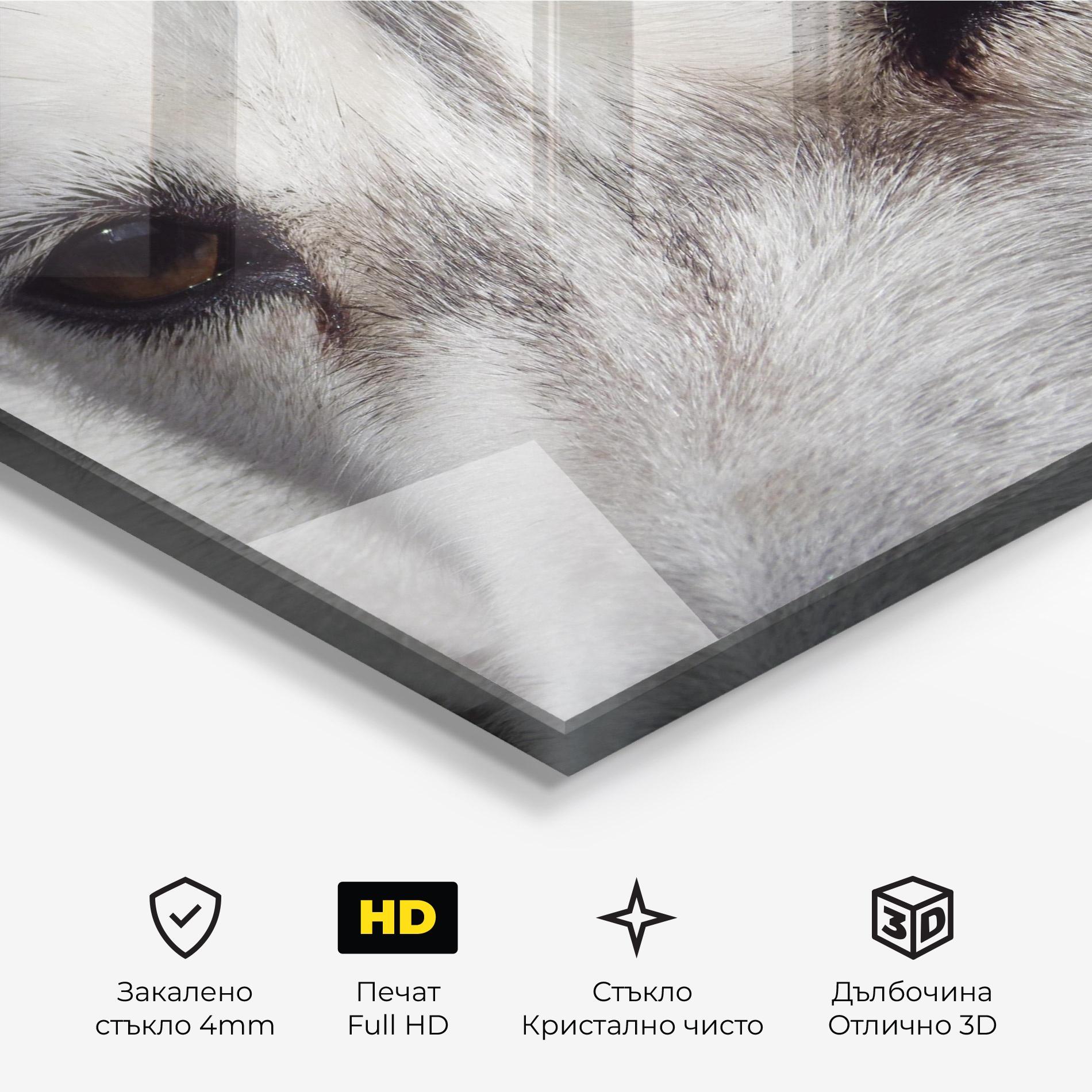 Стъклена картина Close Up Wolf mockup 3