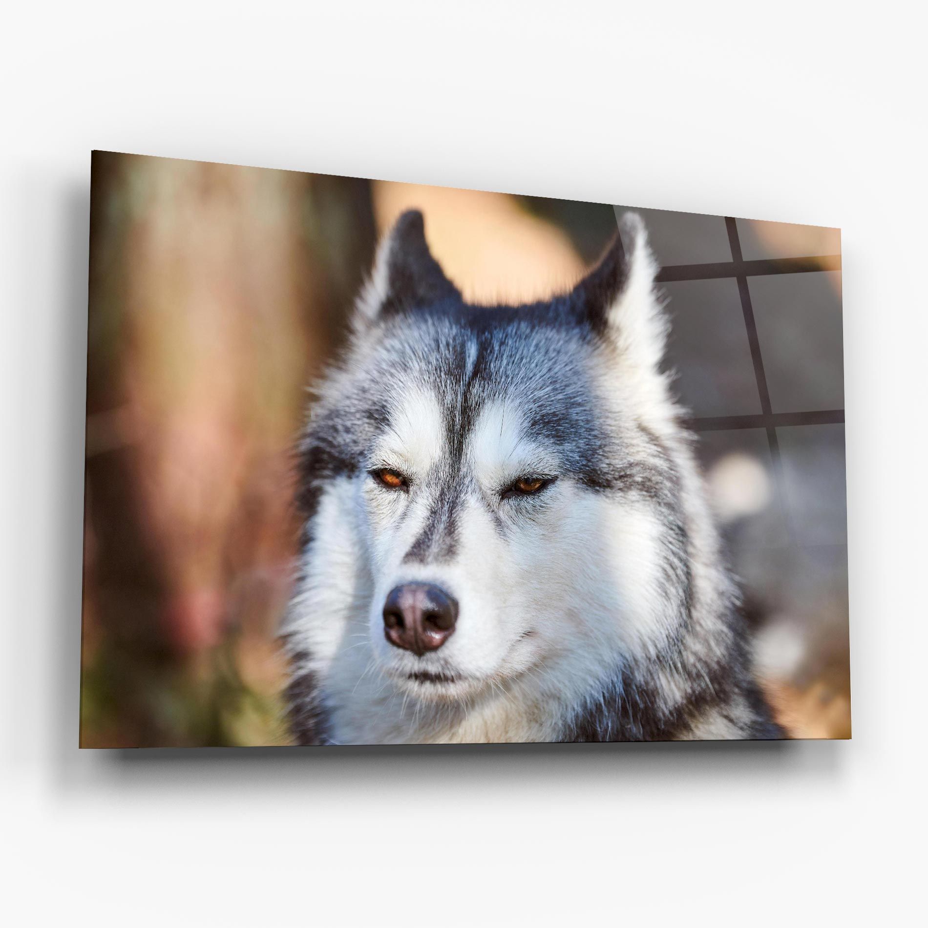 Annoyed Wolf mockup 6