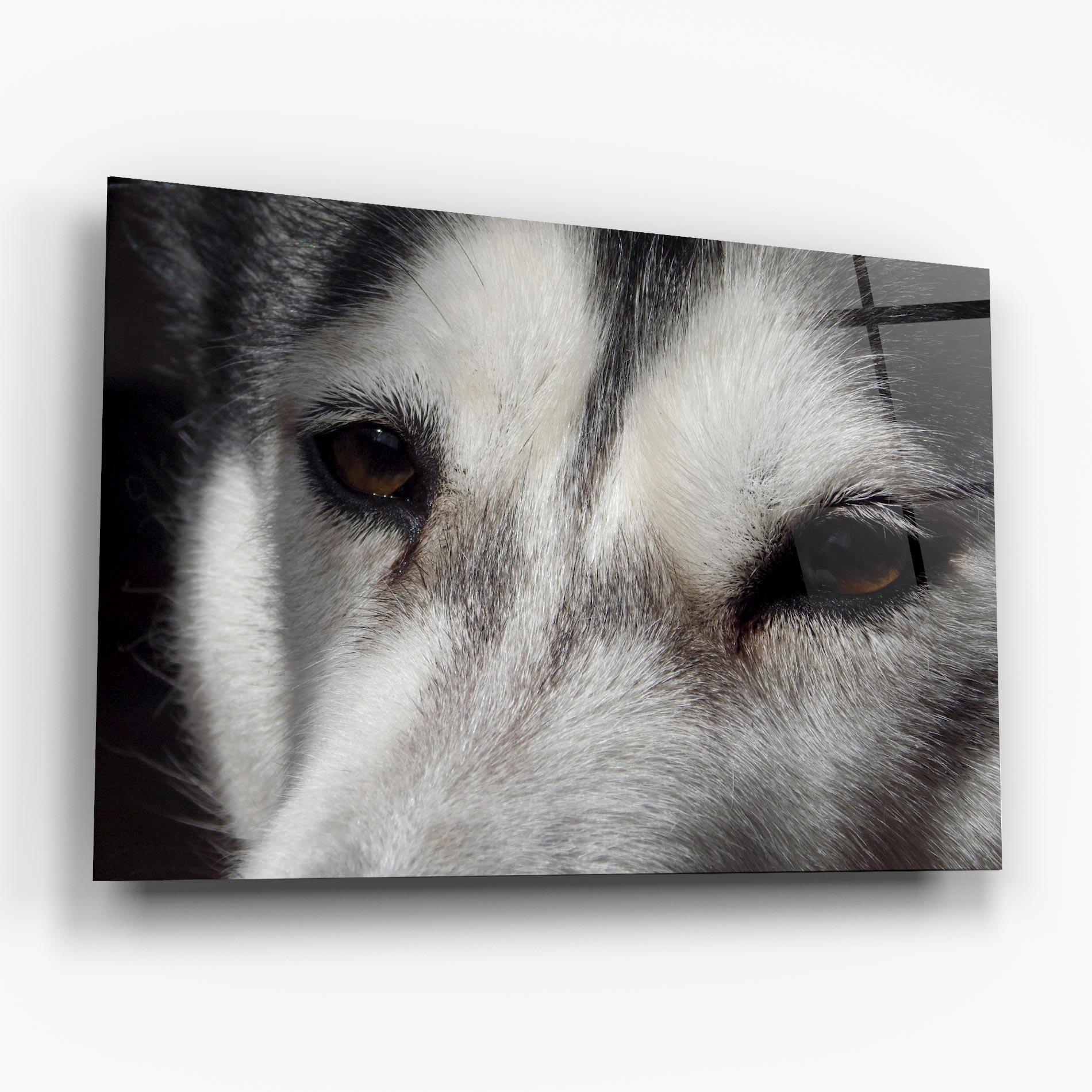 Стъклена картина Close Up Wolf mockup 6