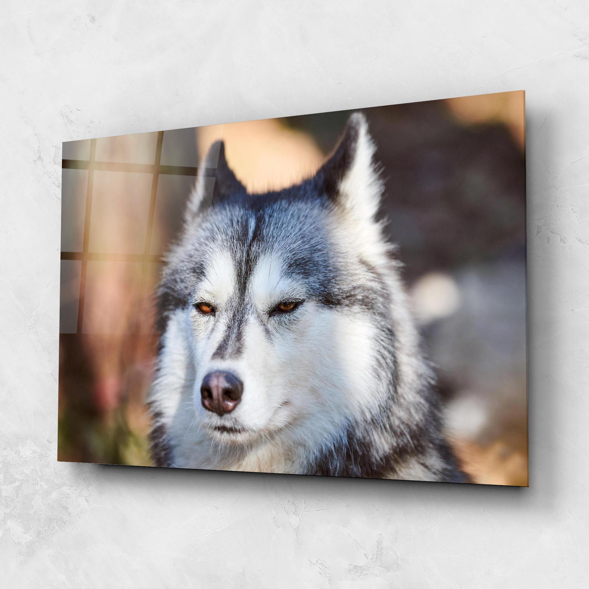 Annoyed Wolf mockup 1