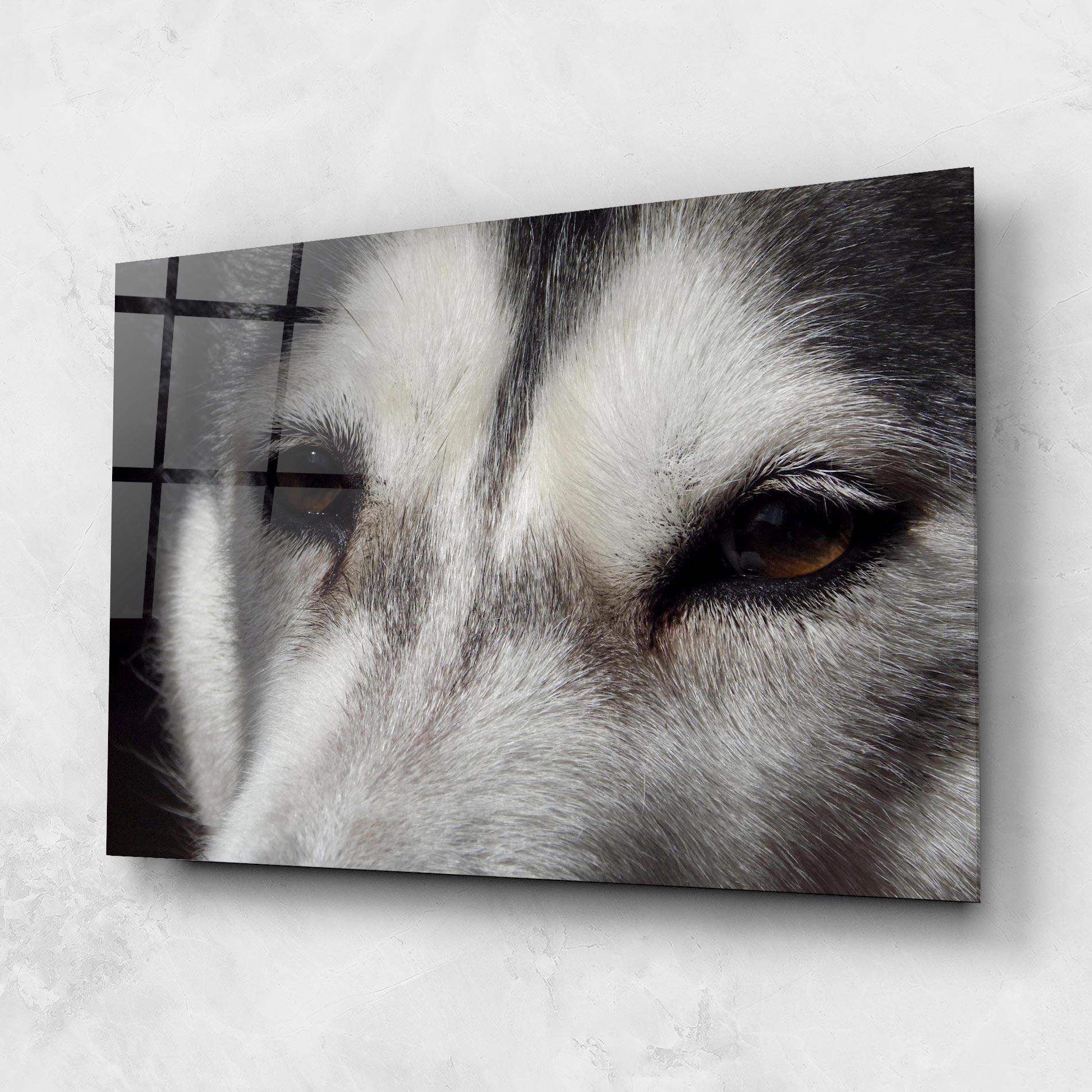 Стъклена картина Close Up Wolf mockup 1