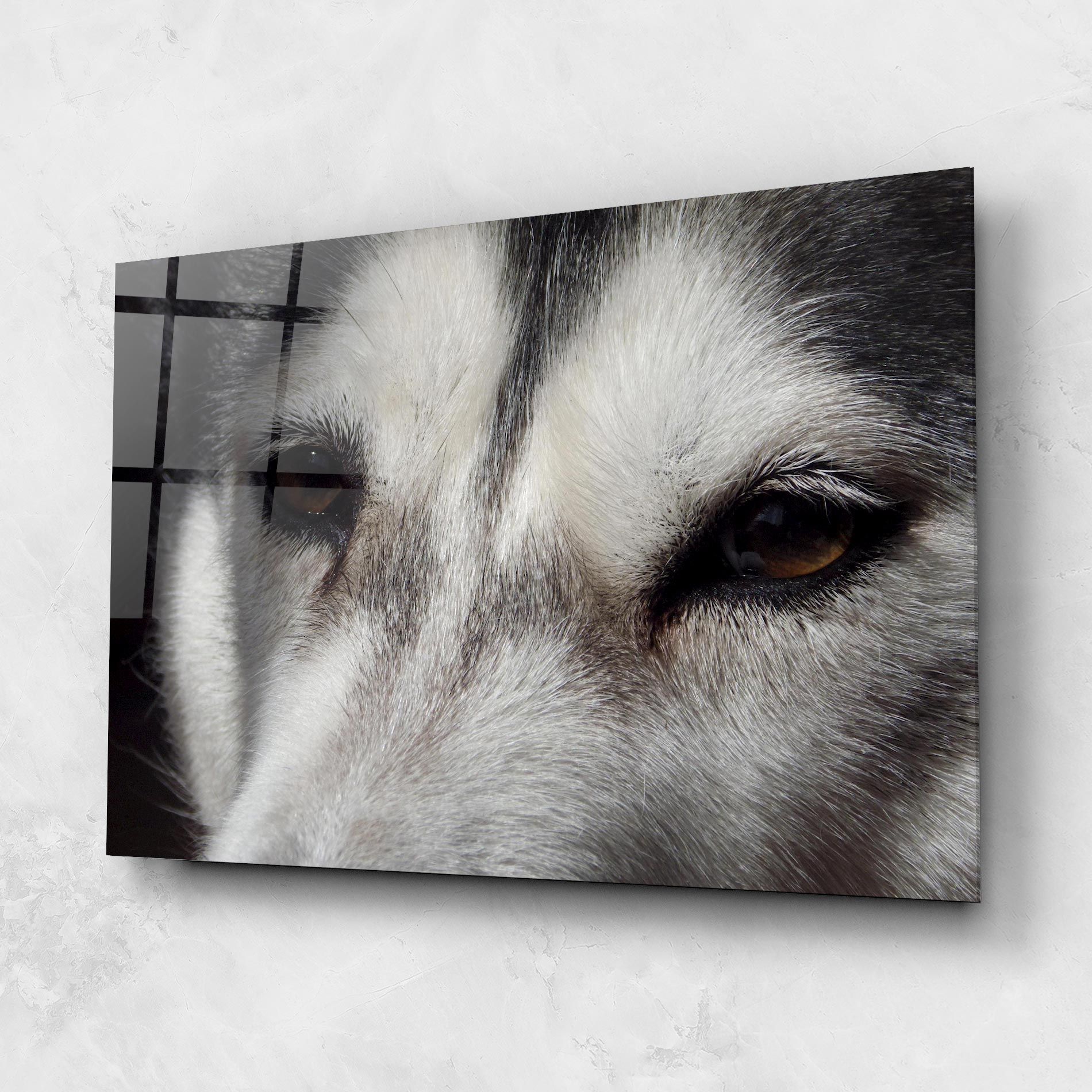 Close Up Wolf mockup 1