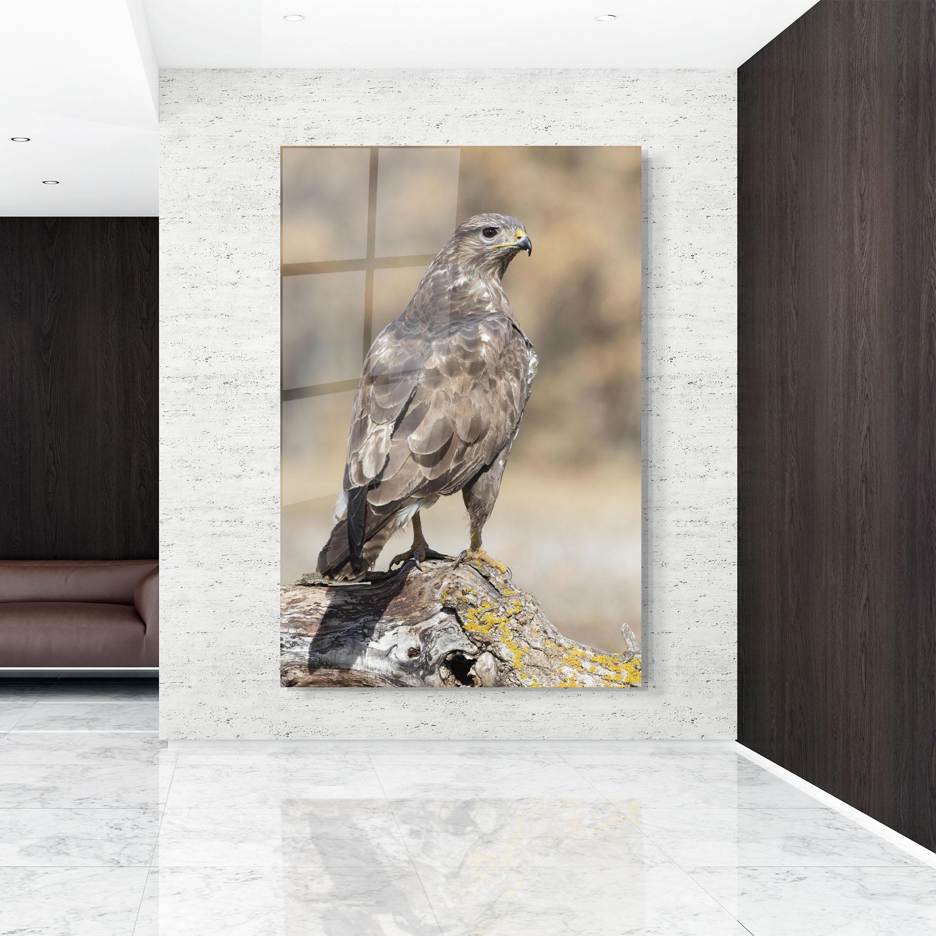 Стъклена картина Eagle Nature mockup 9
