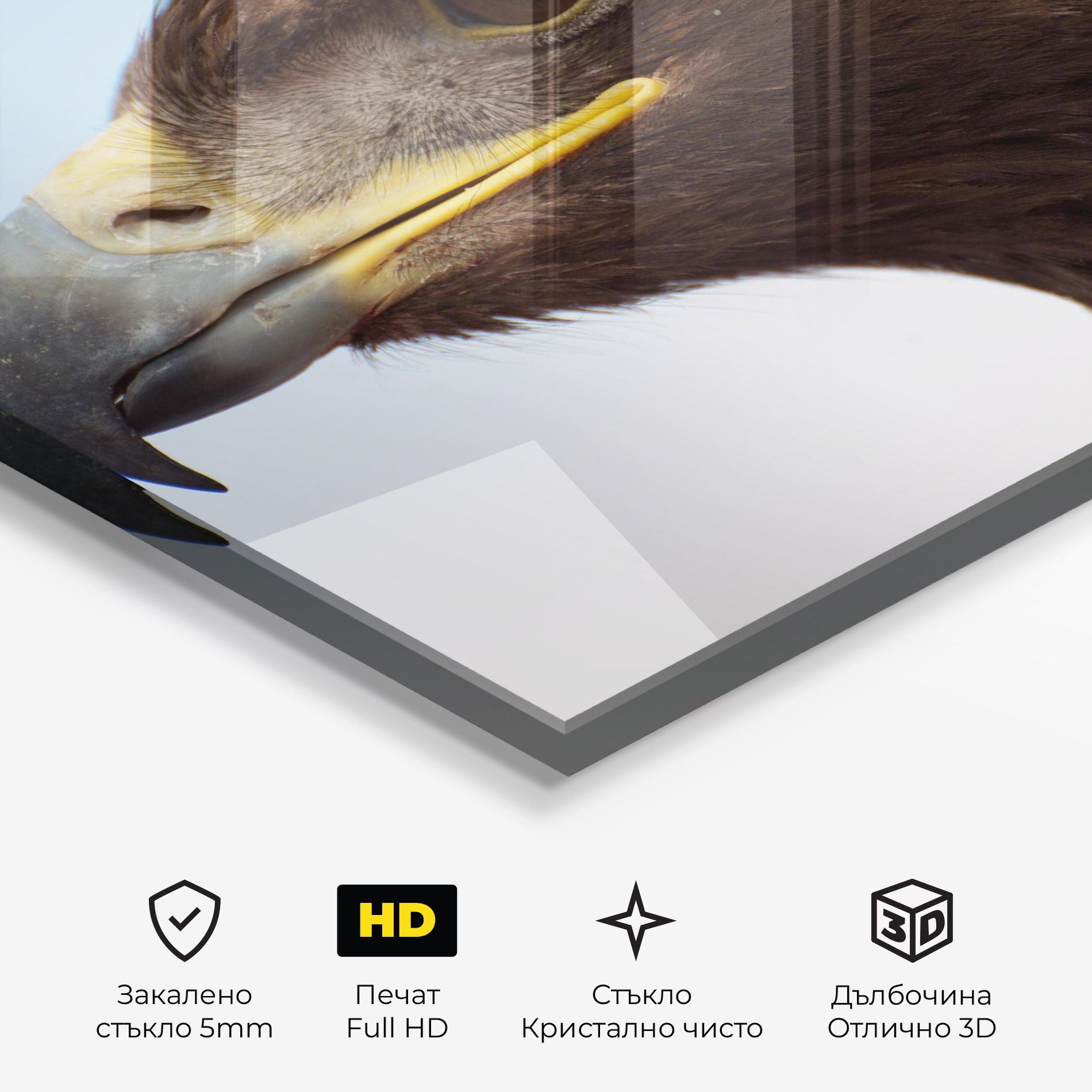 Brown Head Eagle mockup 3