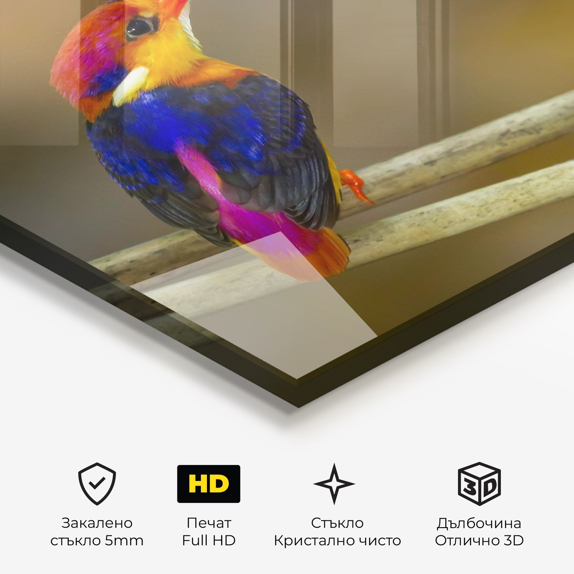 Colorful Bird mockup 3