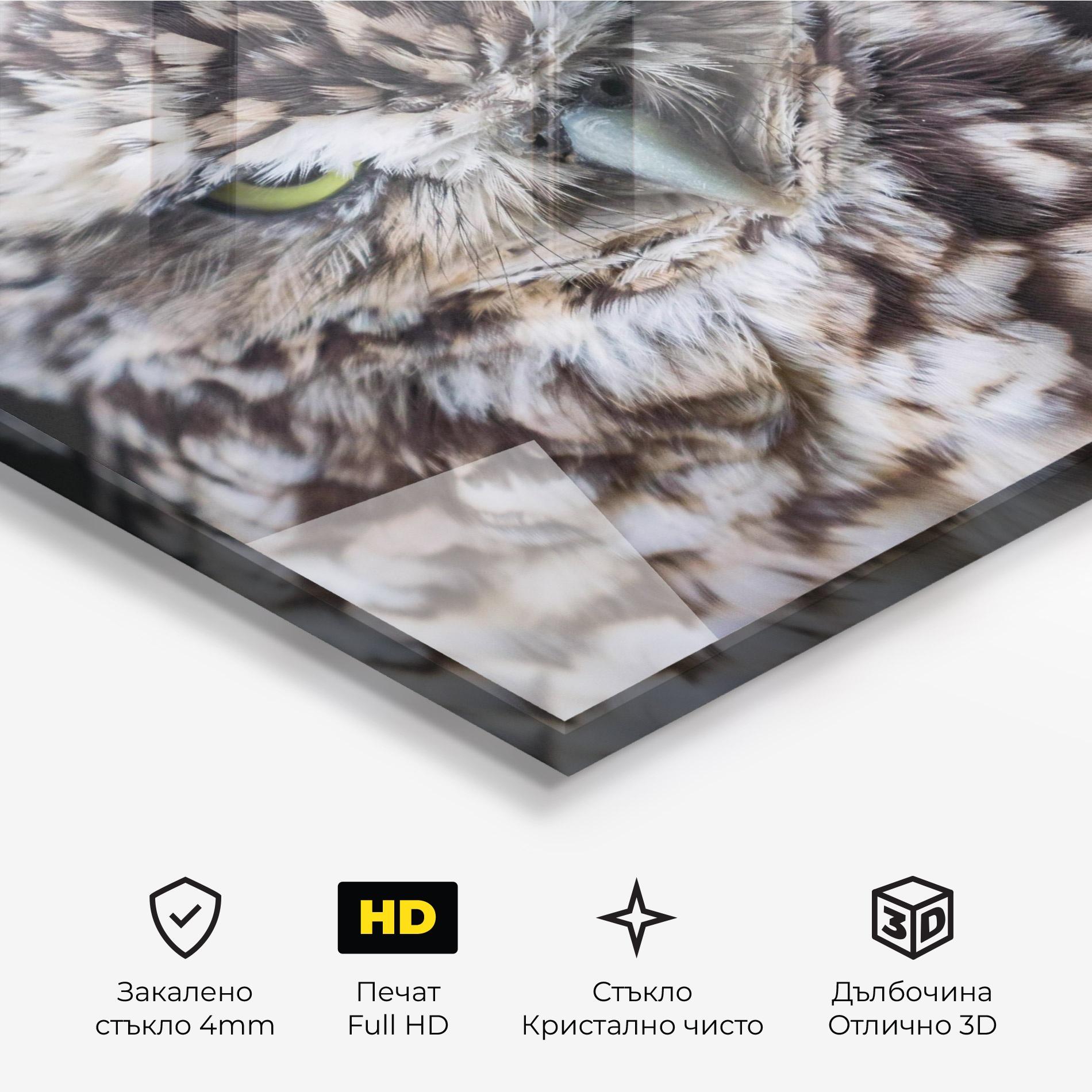 Стъклена картина Angry Little Owl mockup 3