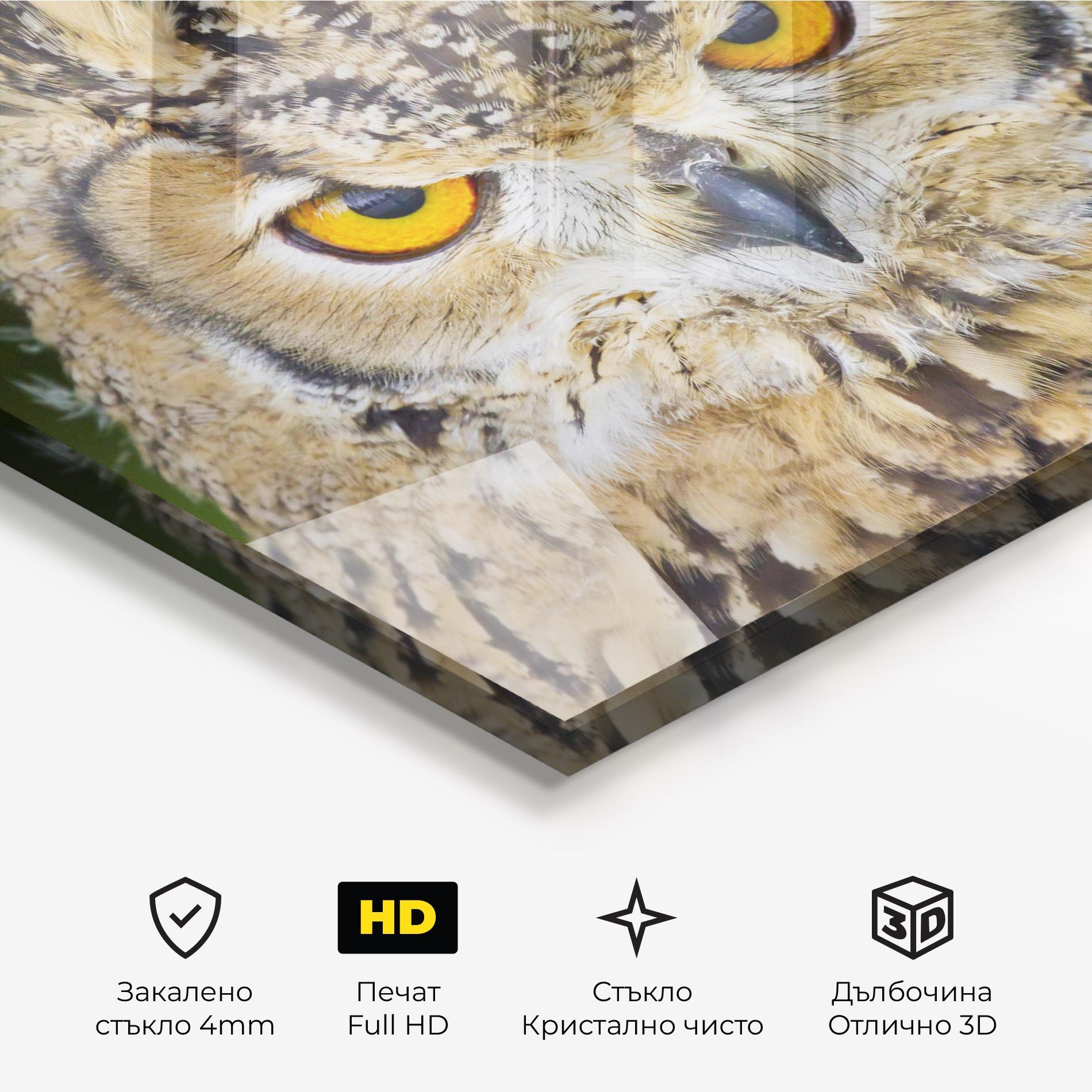 Стъклена картина Angry Owl mockup 3