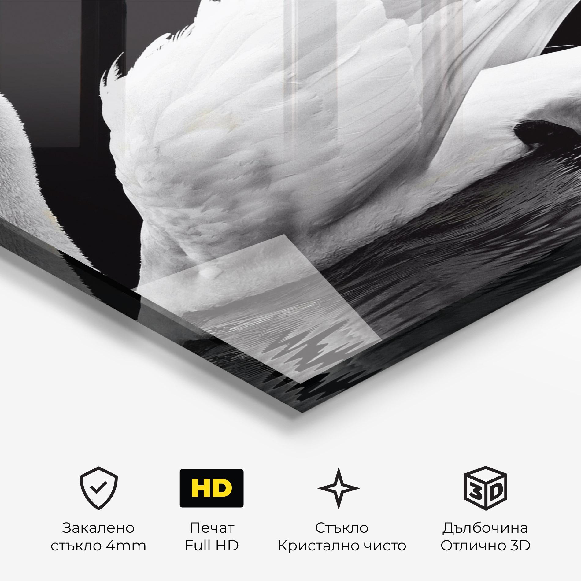 Стъклена картина Black And White Swan mockup 3