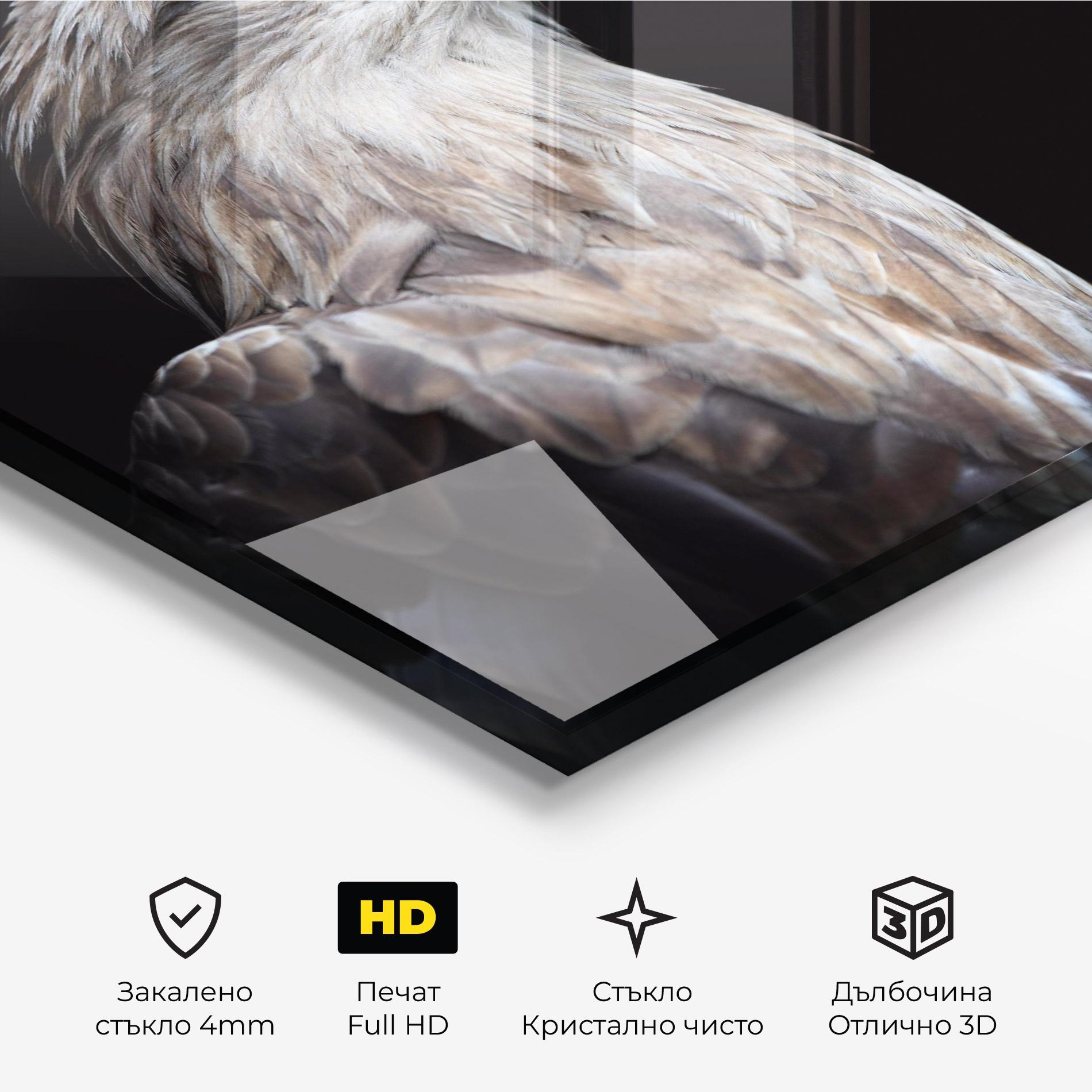Стъклена картина Close Up Eagle mockup 3