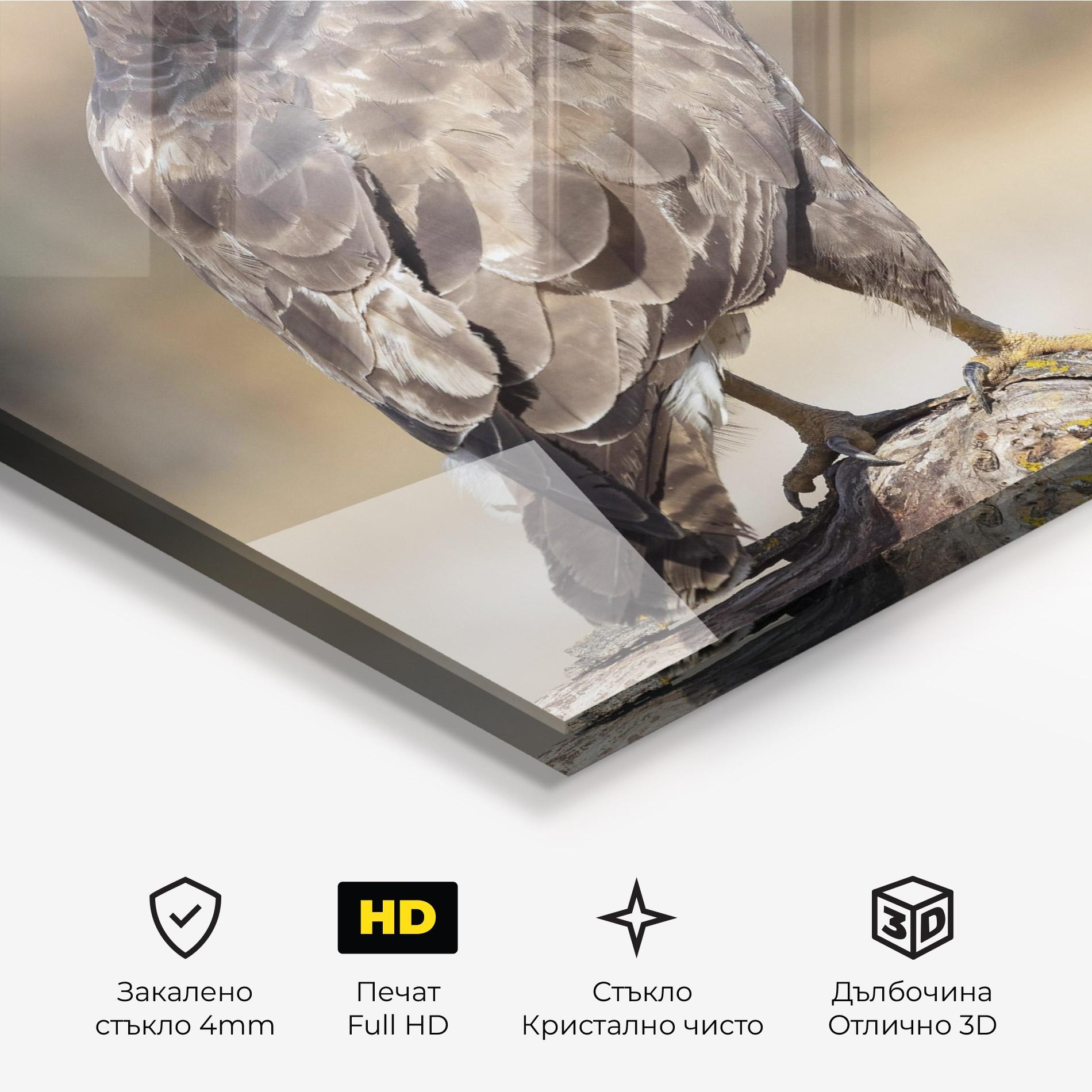 Стъклена картина Eagle Nature mockup 3