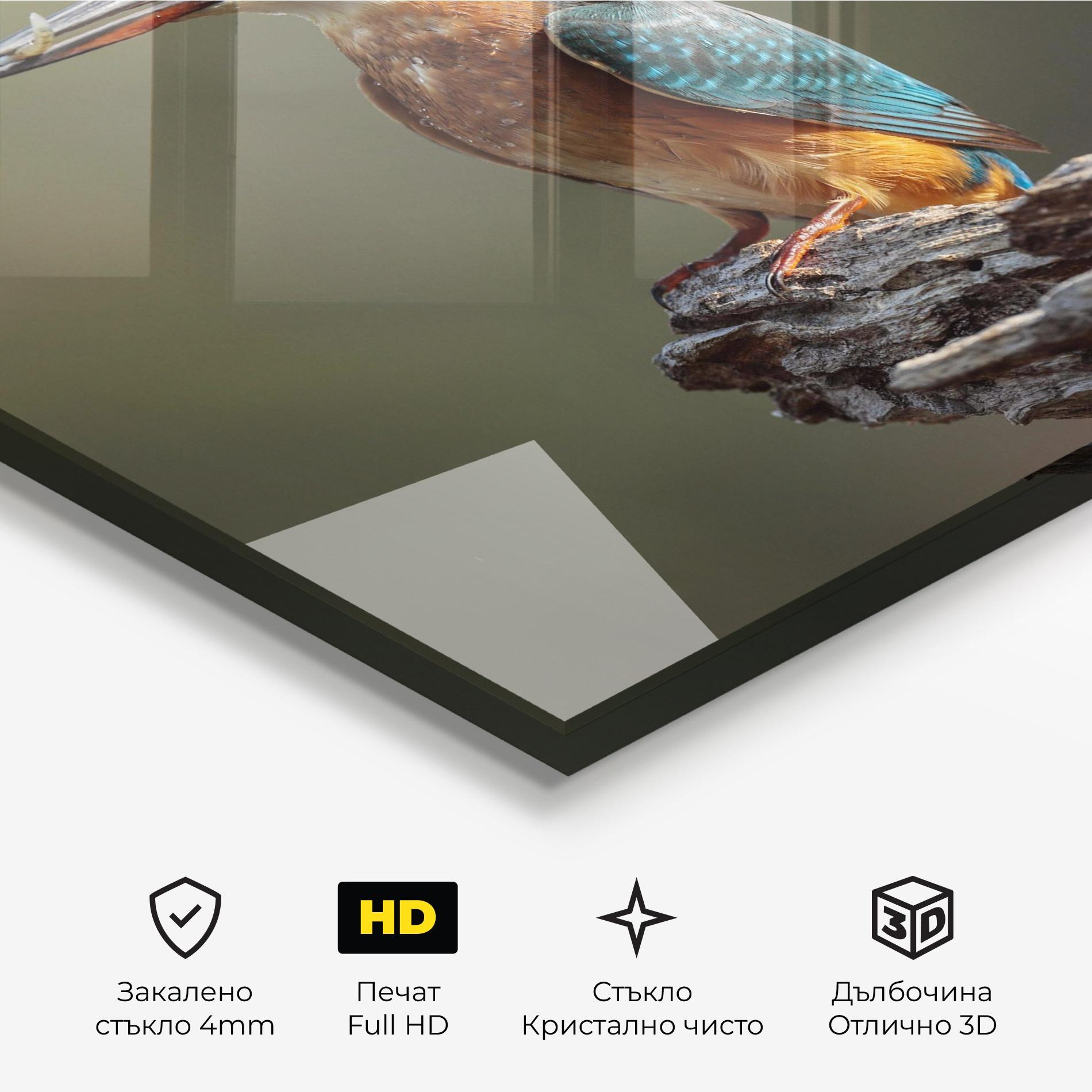 Стъклена картина Female Kingfisher mockup 3