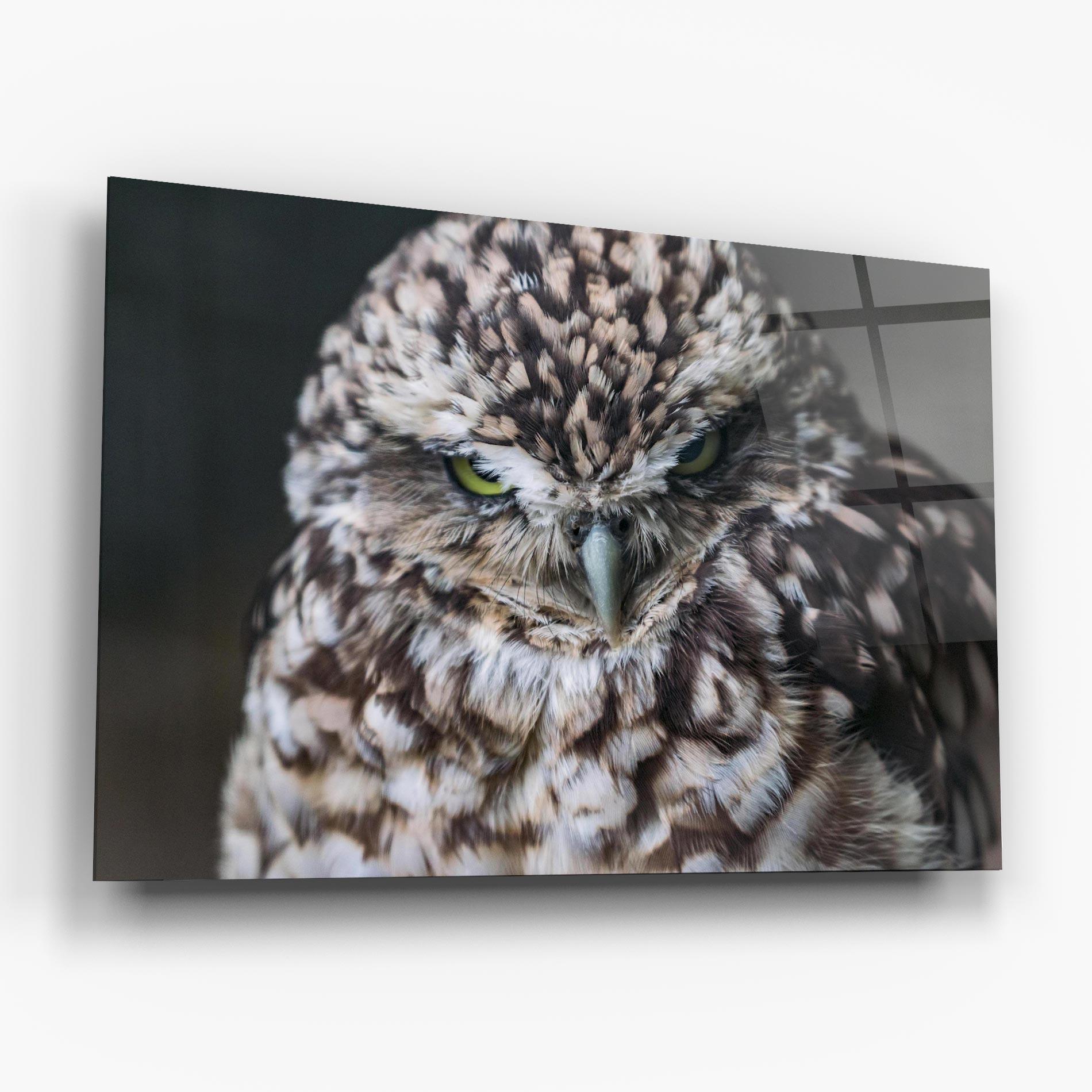 Стъклена картина Angry Little Owl mockup 6