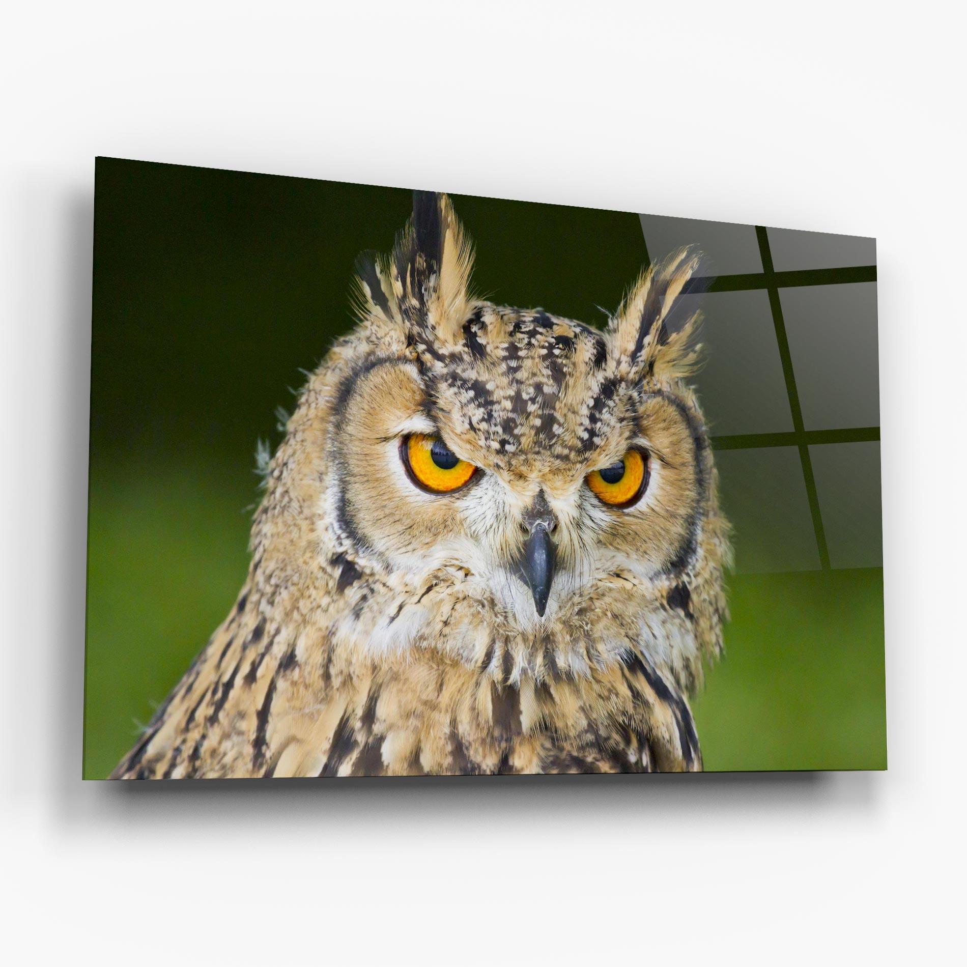 Стъклена картина Angry Owl mockup 6