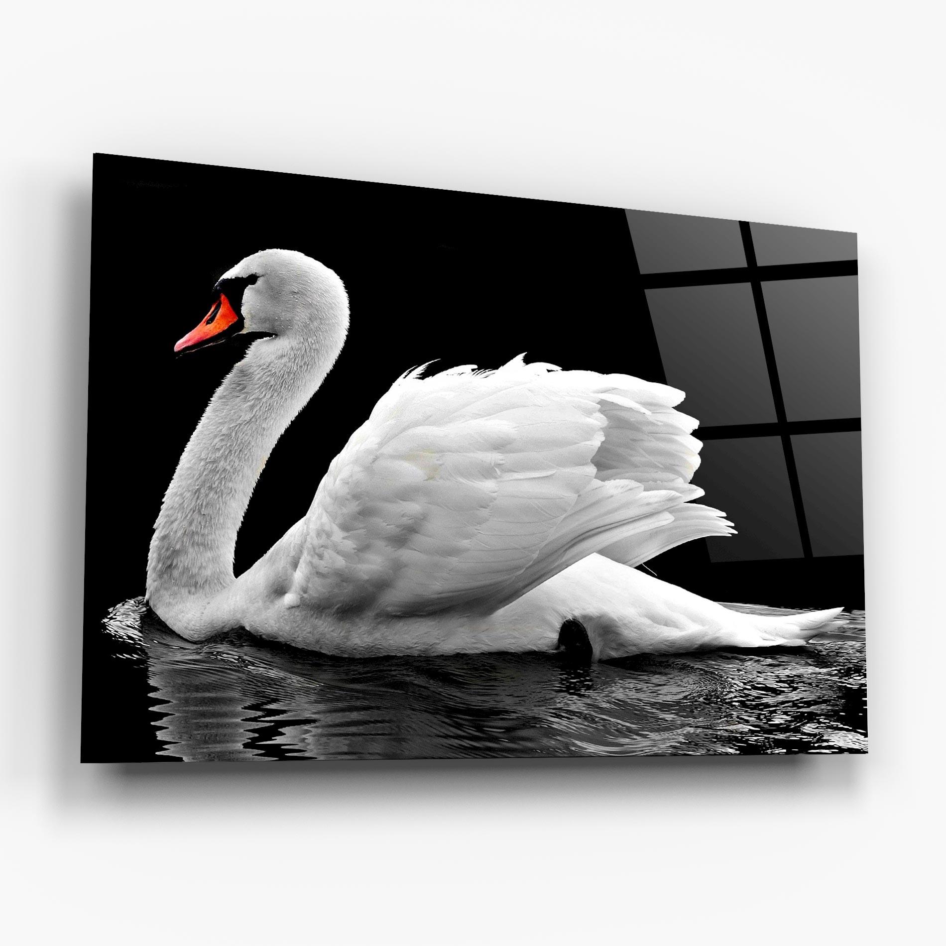 Стъклена картина Black And White Swan mockup 6