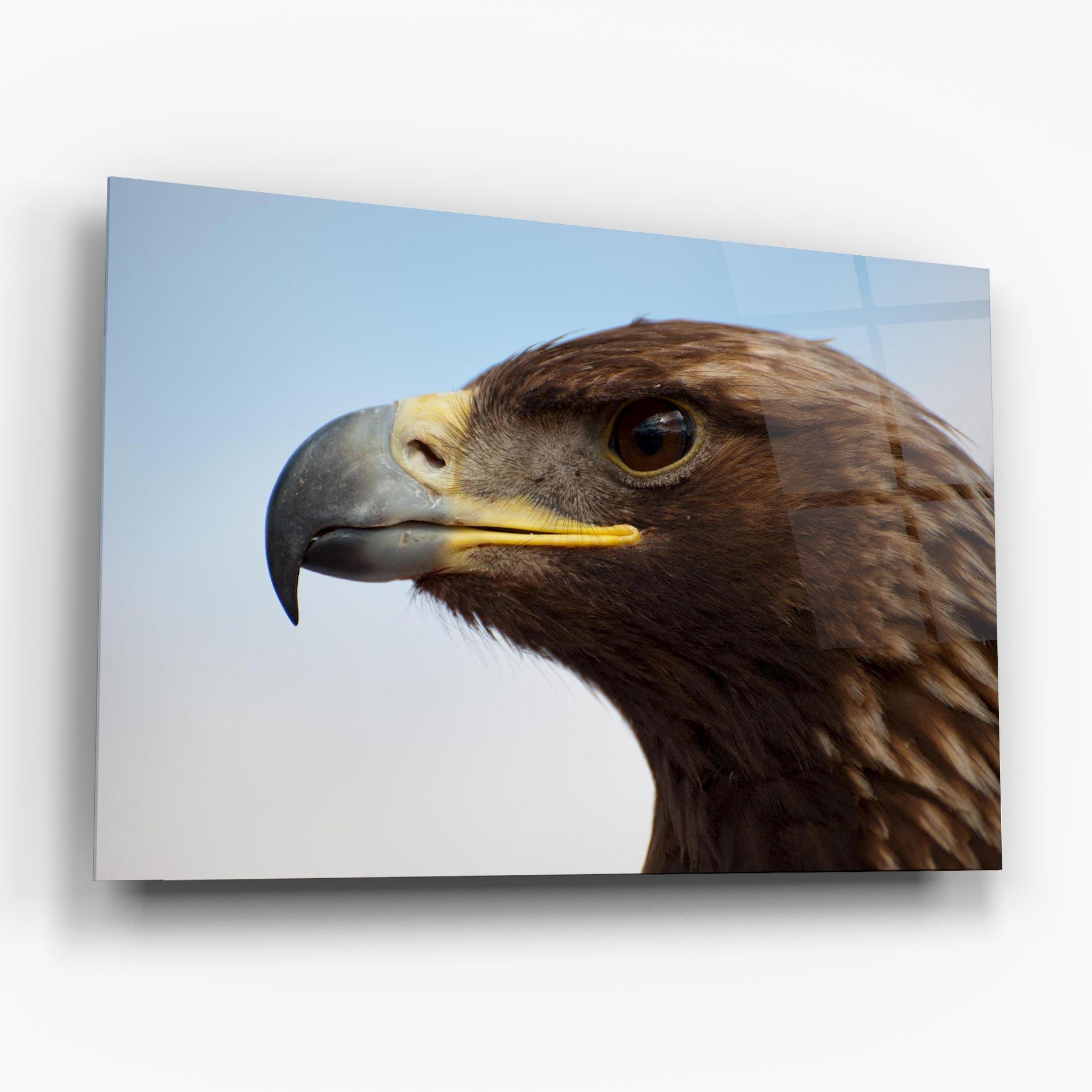 Стъклена картина Brown Head Eagle mockup 6