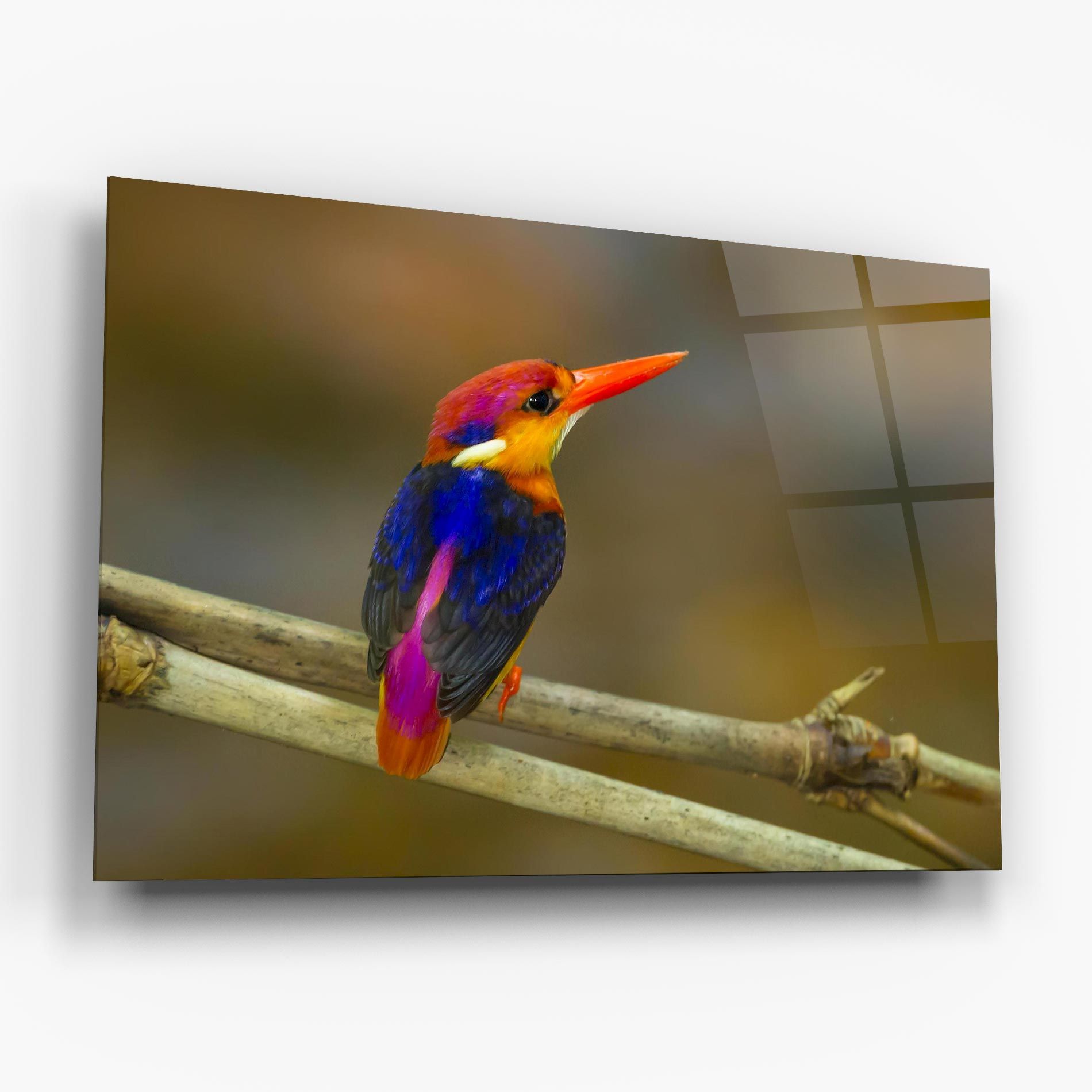 Colorful Bird mockup 6