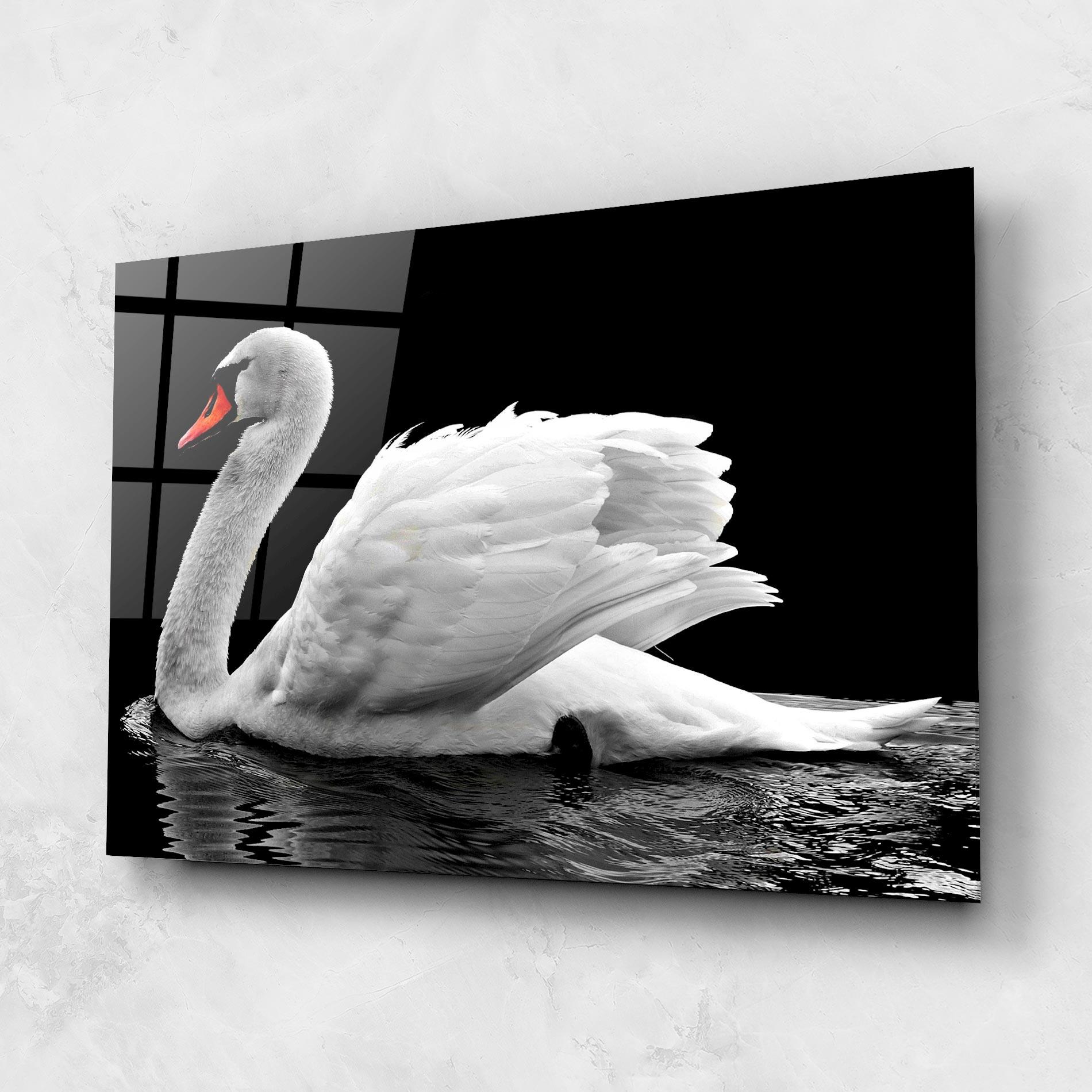 Стъклена картина Black And White Swan mockup 1