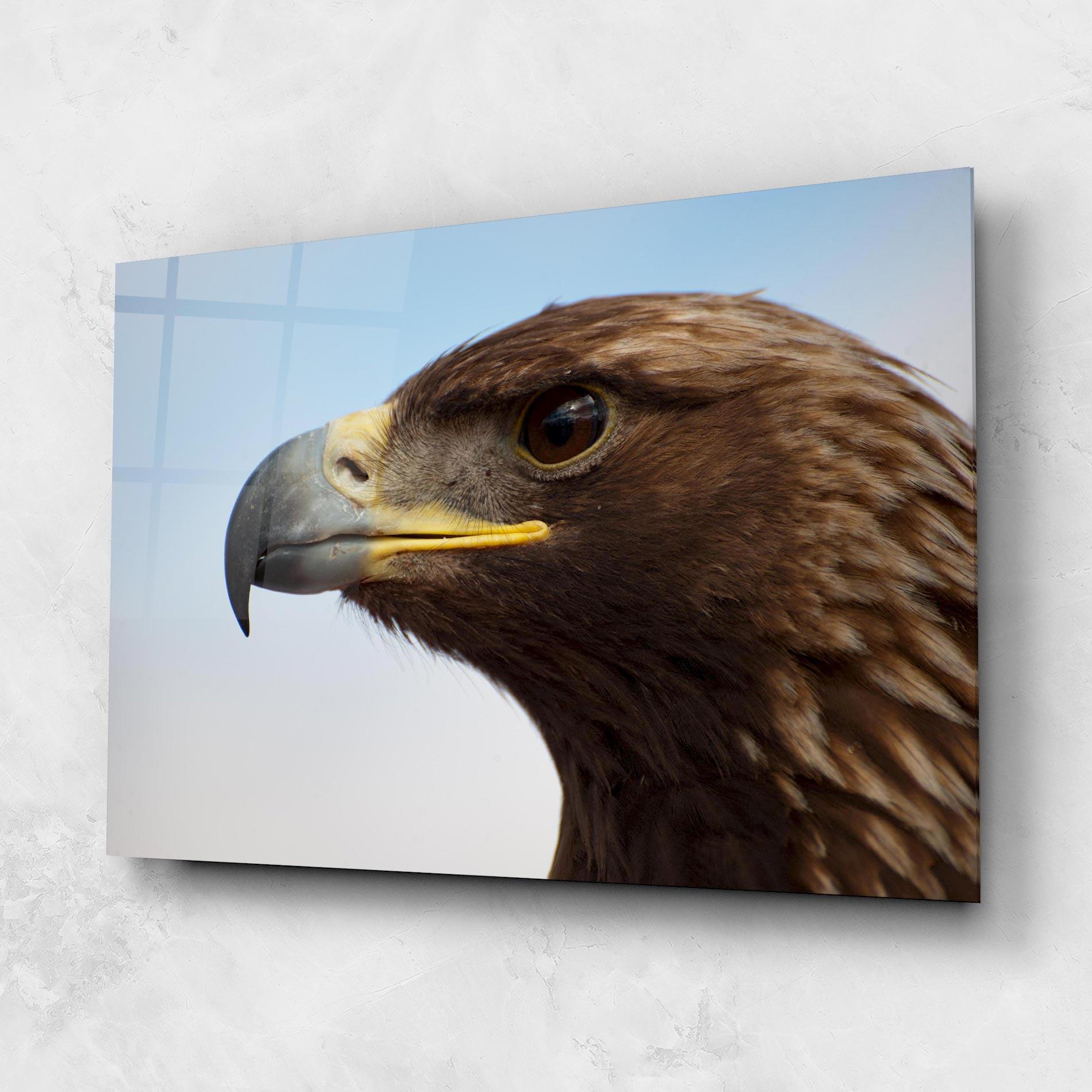 Стъклена картина Brown Head Eagle mockup 1