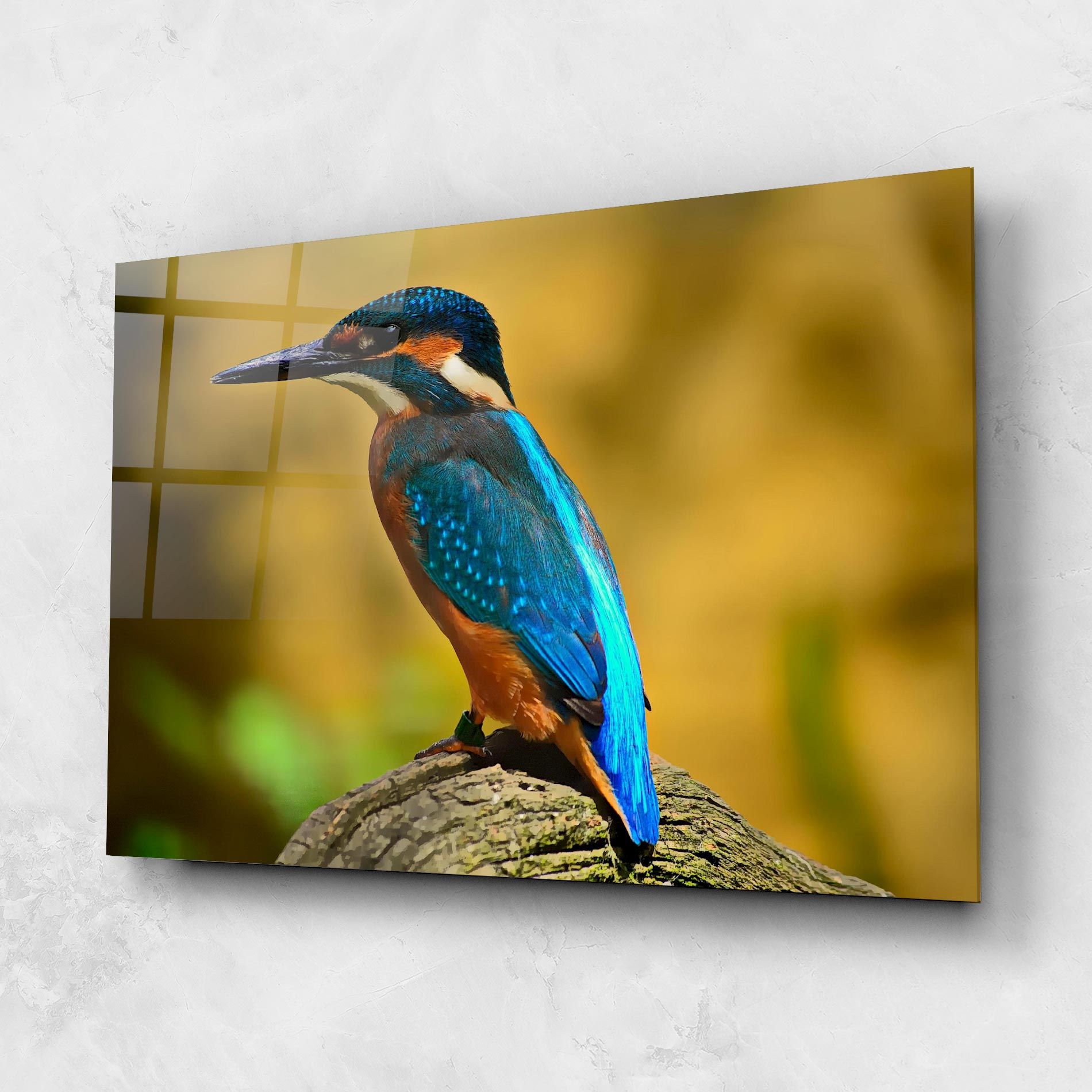 Cute Blue Bird mockup 1