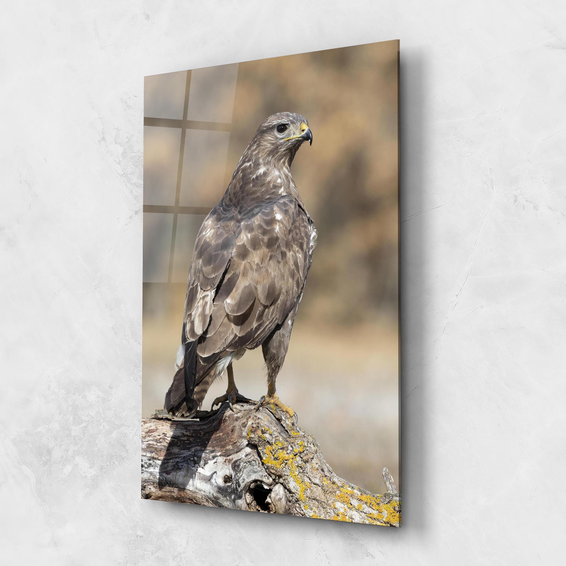 Eagle Nature mockup 1