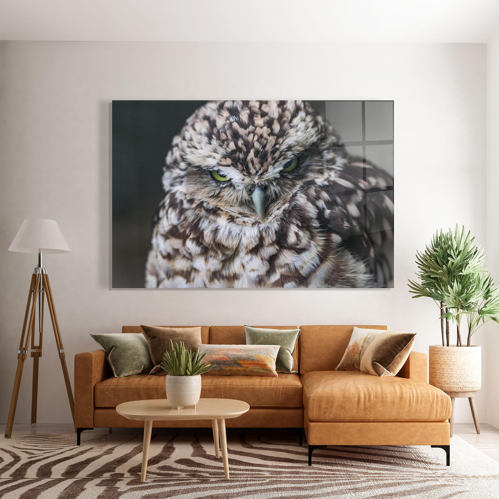 Стъклена картина Angry Little Owl mockup 7