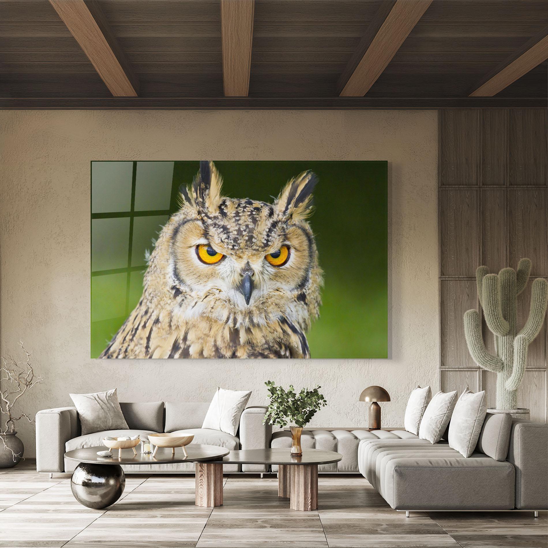 Стъклена картина Angry Owl mockup 8
