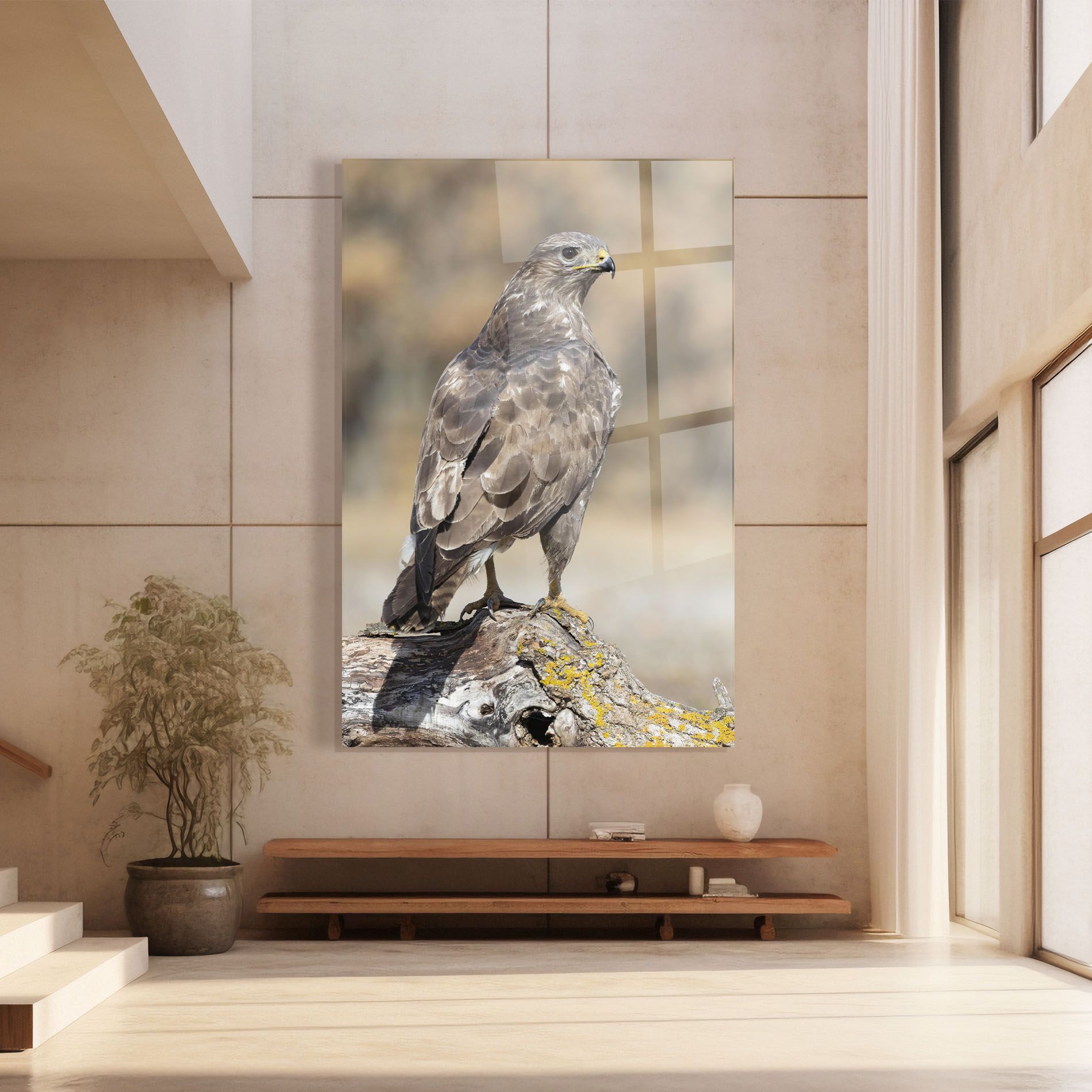 Eagle Nature mockup 8