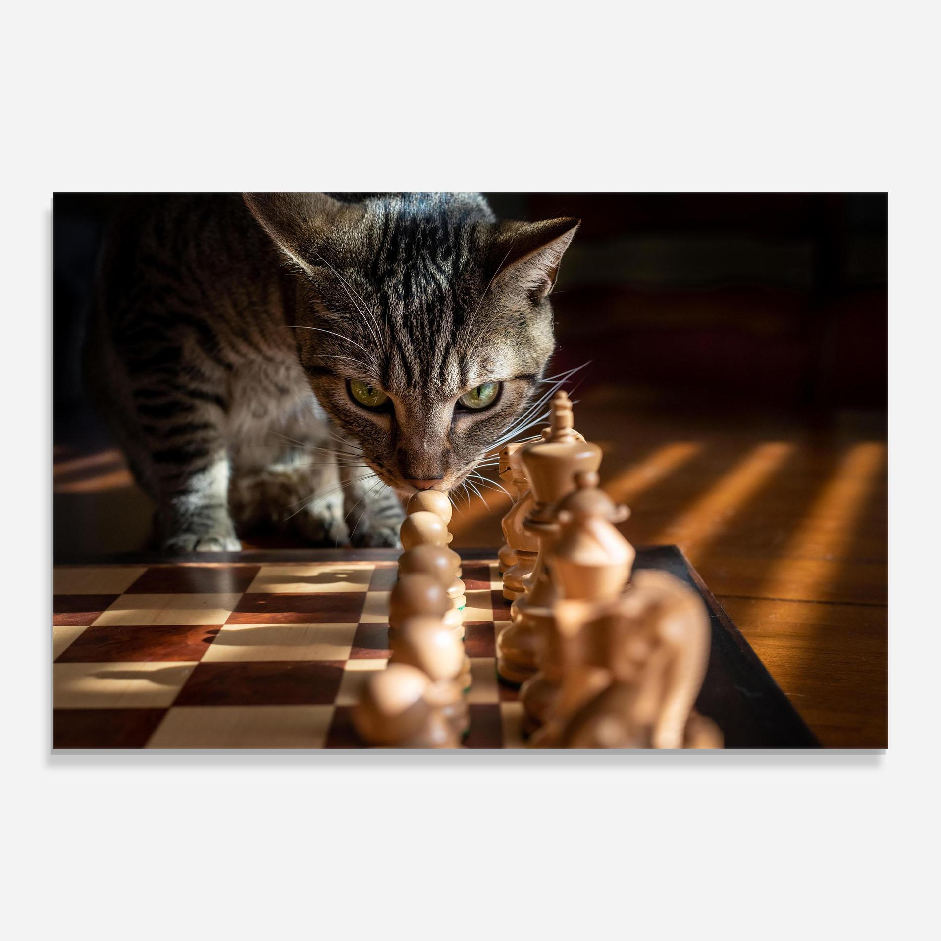 Стъклена картина Chess Cat mockup 0