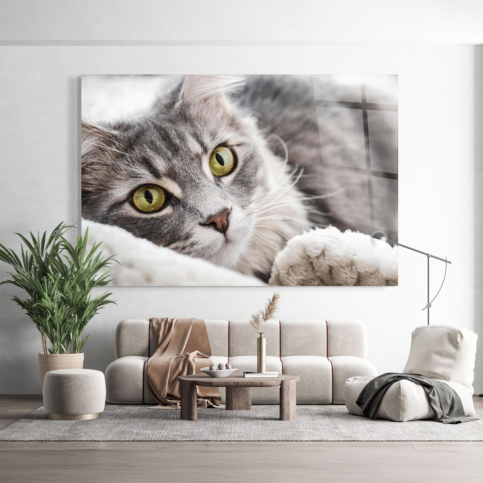 Стъклена картина Grey Fluffy Cat mockup 9