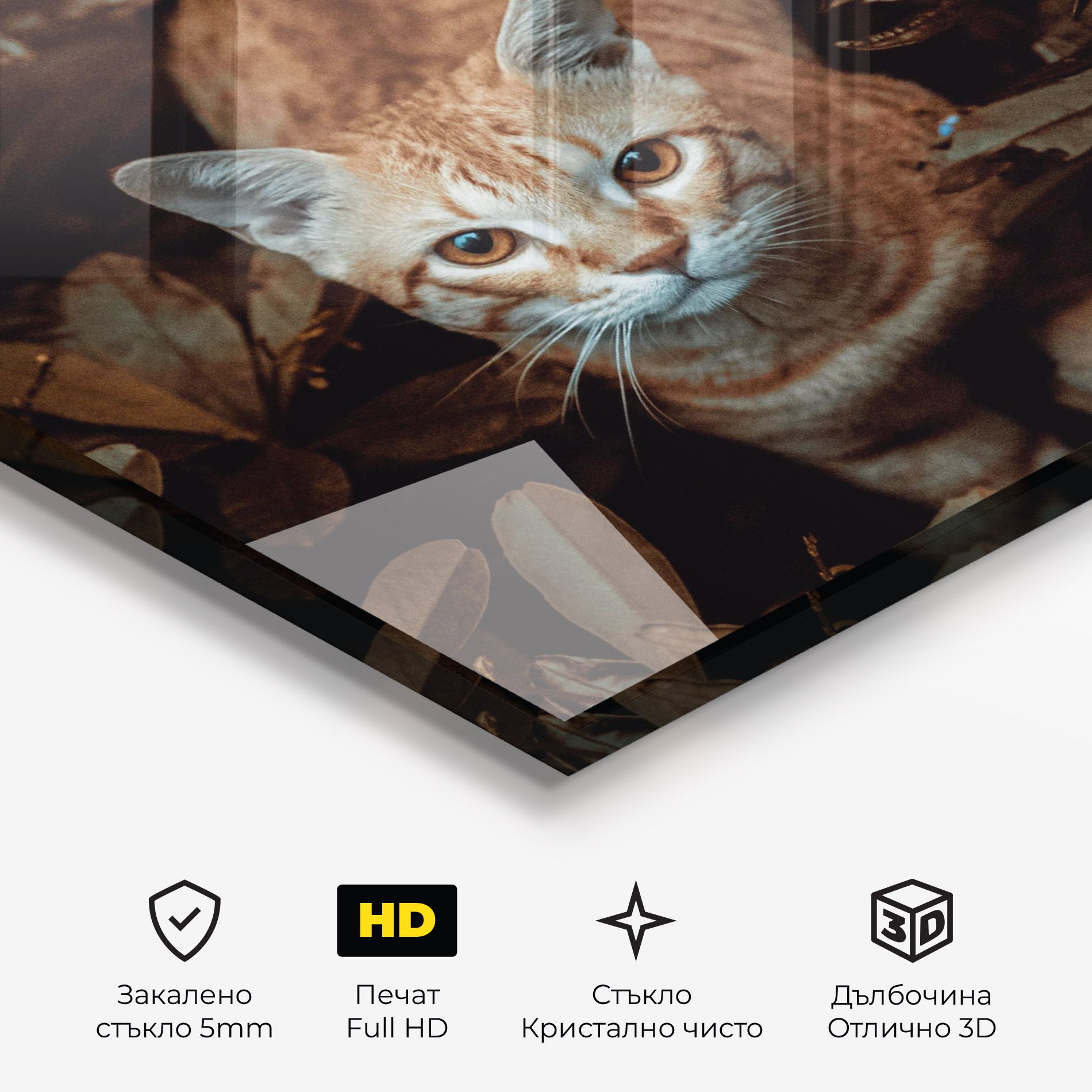 Autumn Orange Cat mockup 3