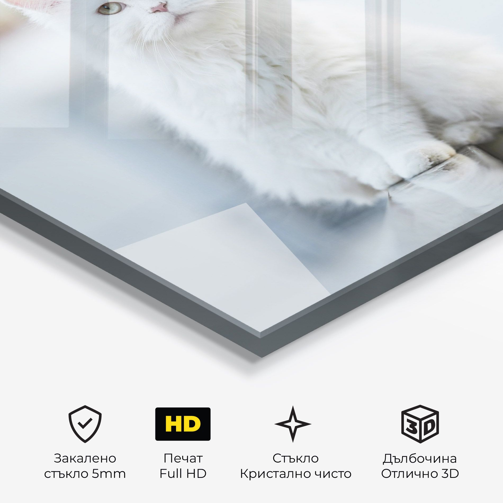 Big White Cat mockup 3