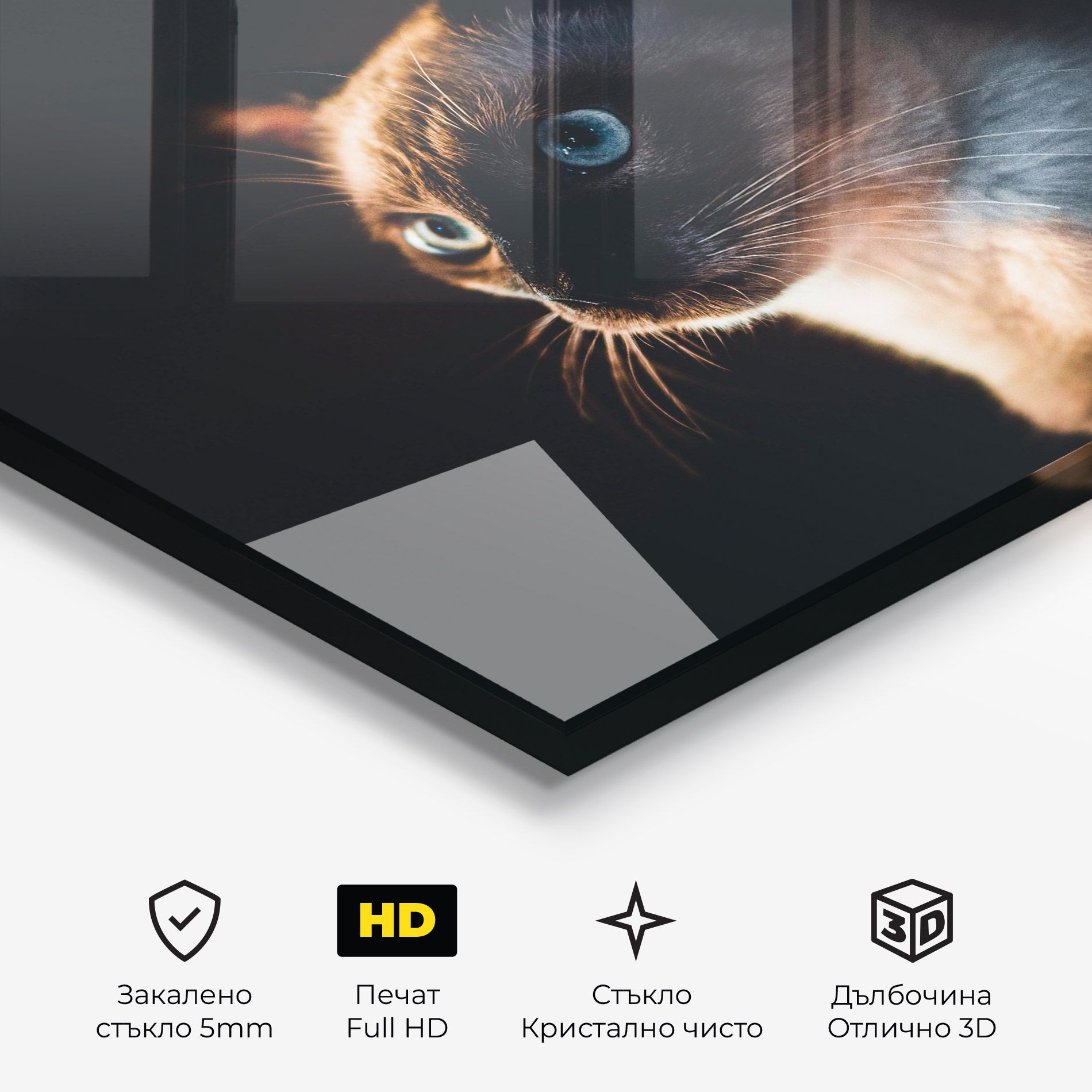 Blue Eyes Cat In Dark mockup 3