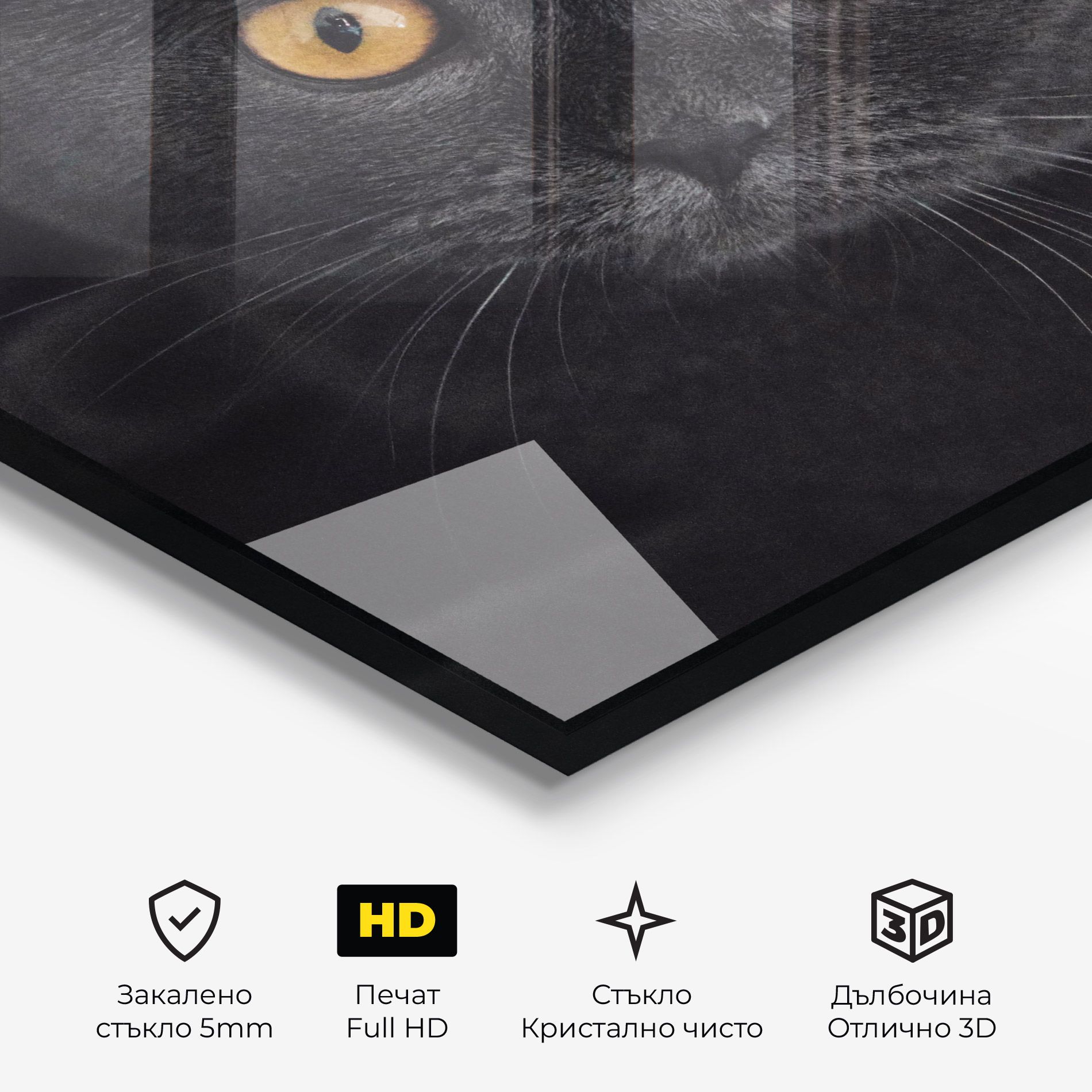 Grey Cat With Orange Eyes mockup 3