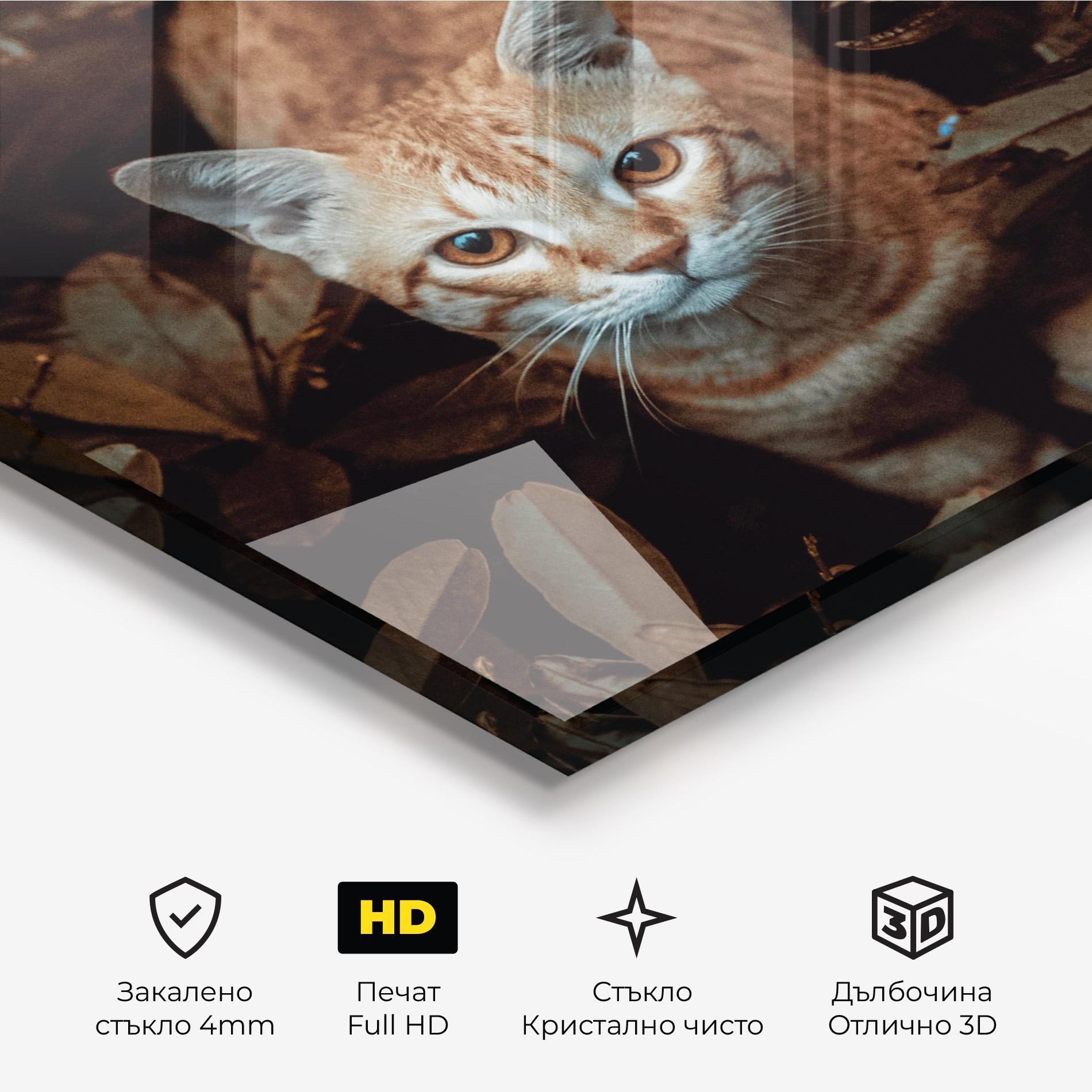Стъклена картина Autumn Orange Cat mockup 3