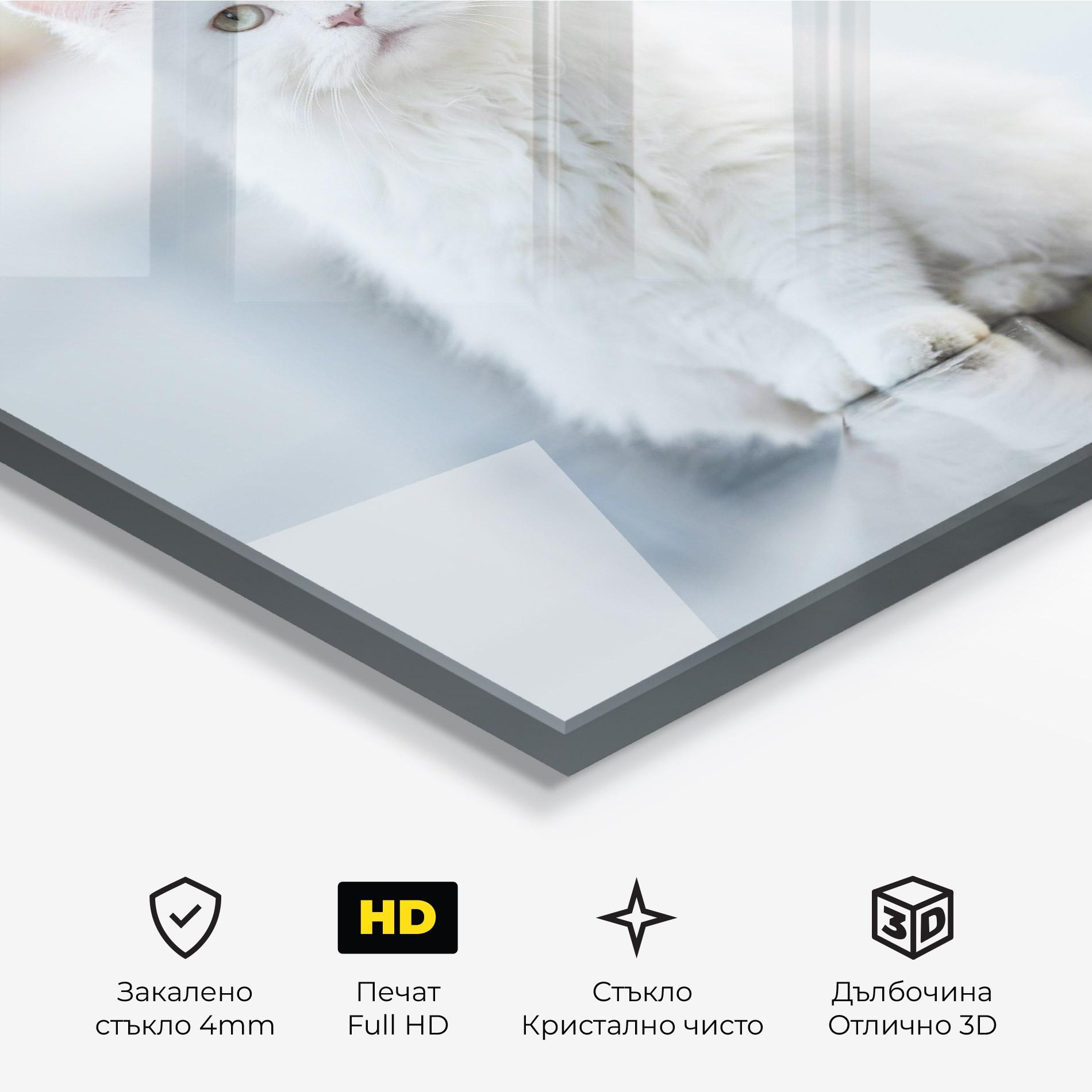Стъклена картина Big White Cat mockup 3