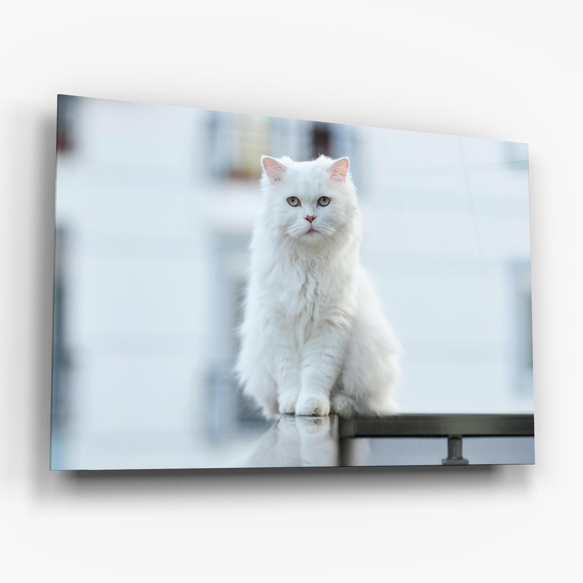 Стъклена картина Big White Cat mockup 6