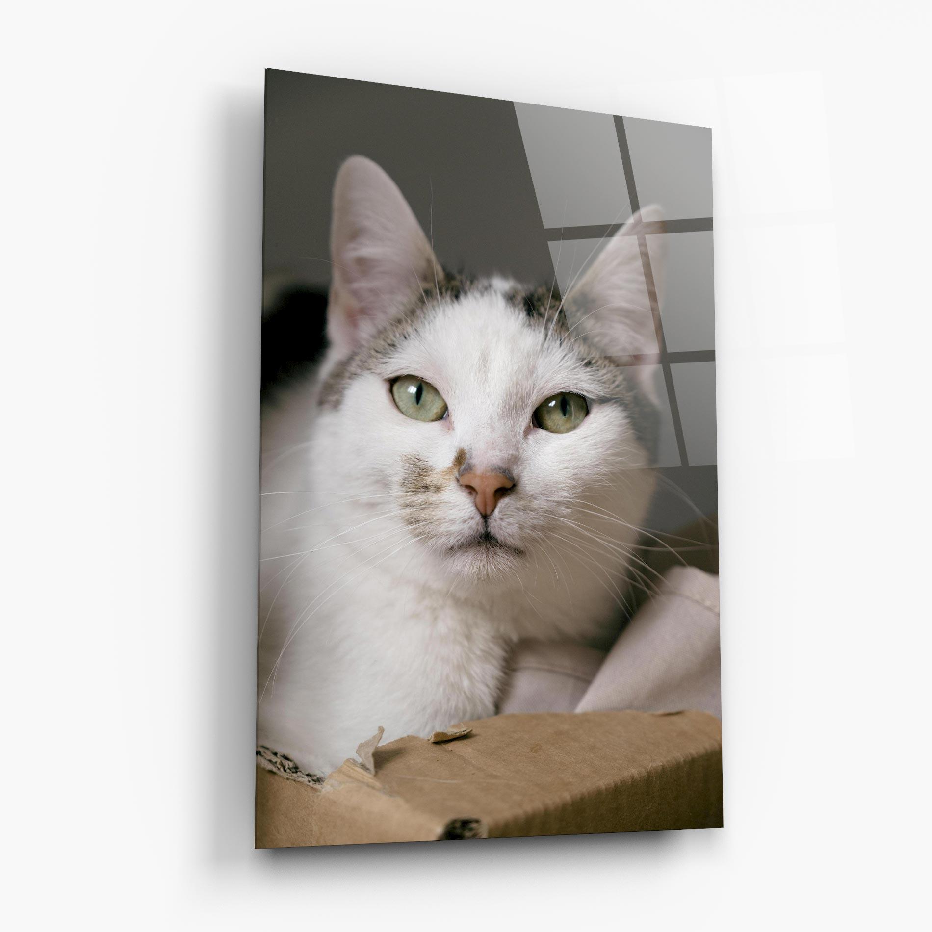 Стъклена картина Big Sleepy Cat mockup 6