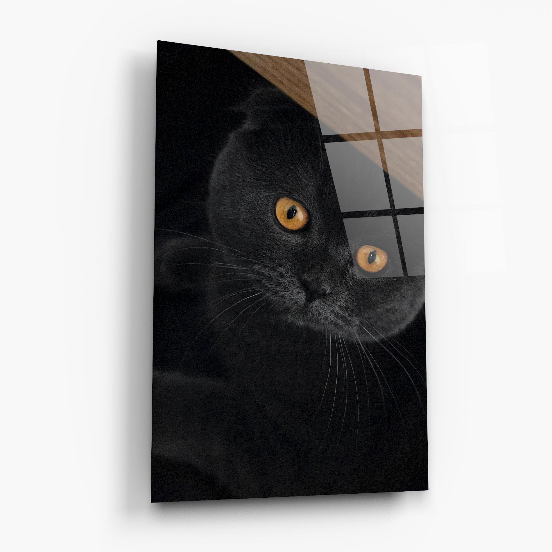 Grey Cat With Orange Eyes mockup 6