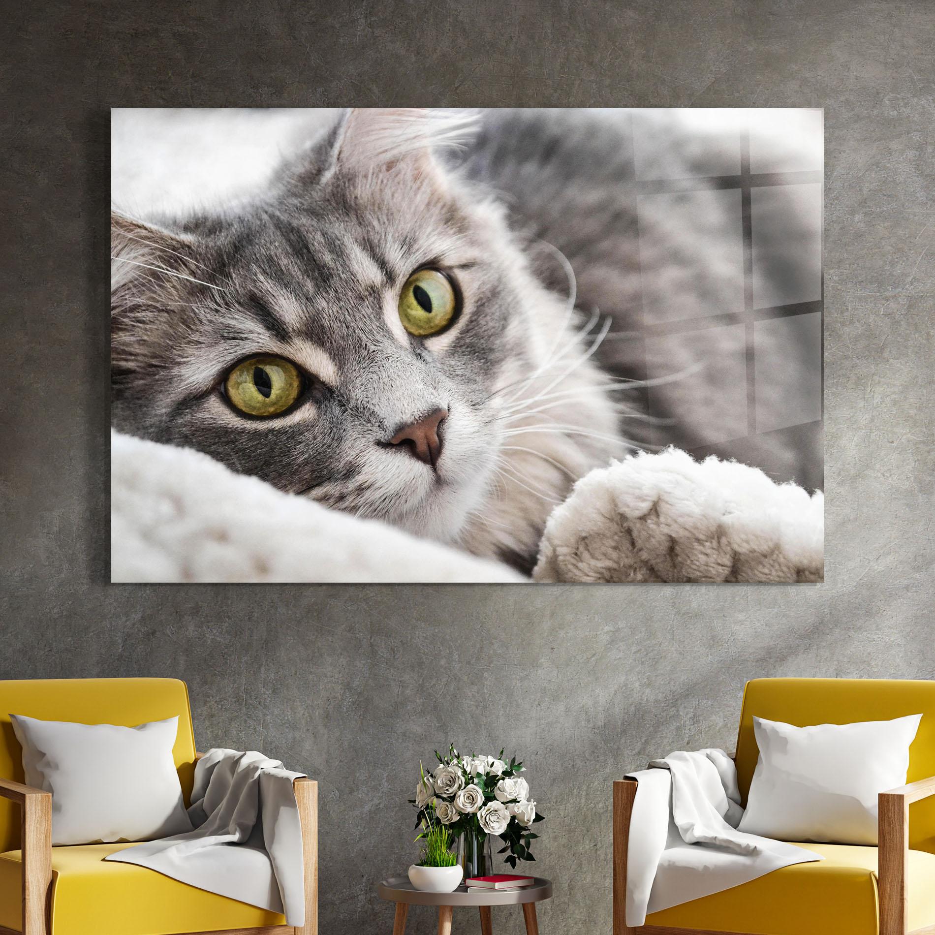 Стъклена картина Grey Fluffy Cat mockup 4