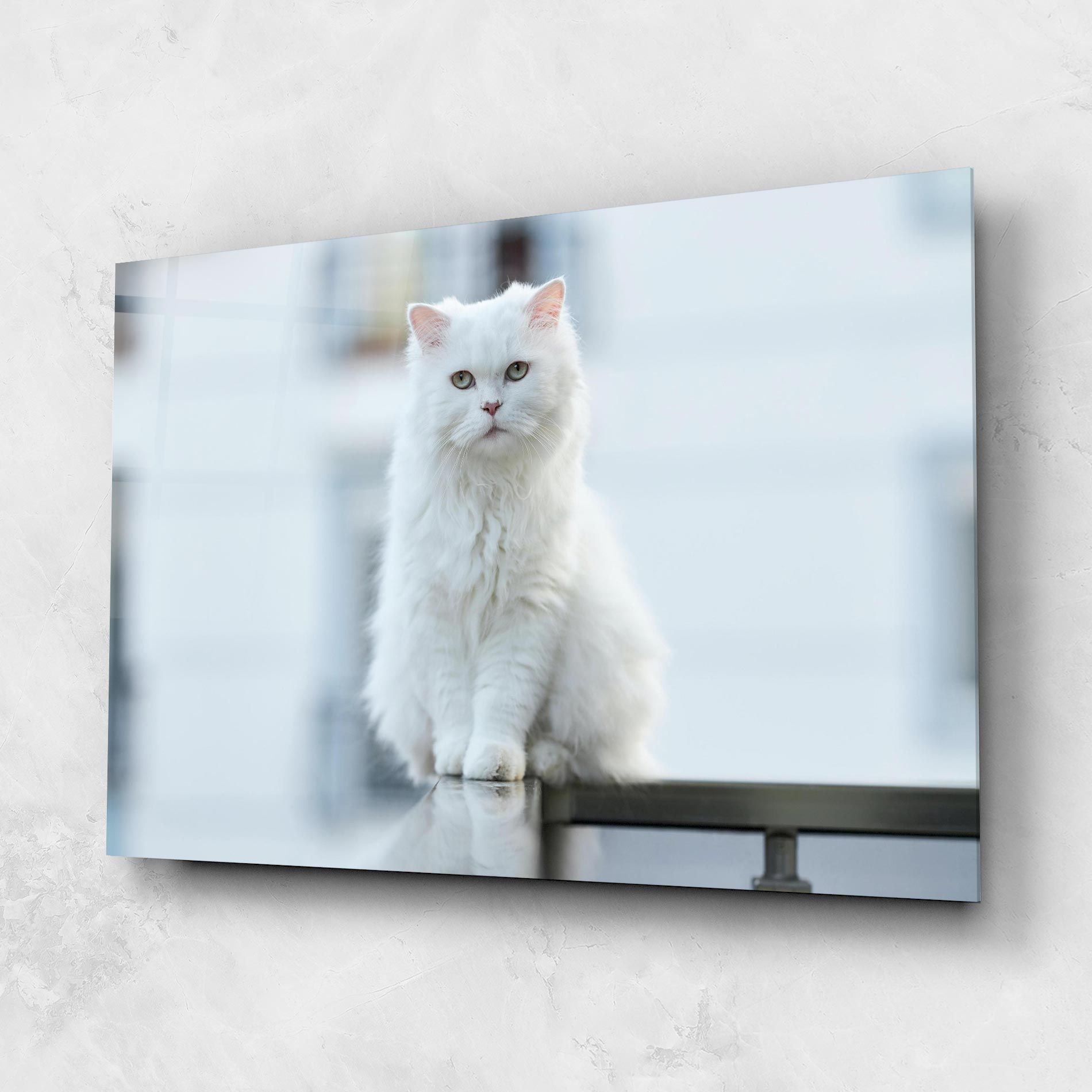 Big White Cat mockup 1