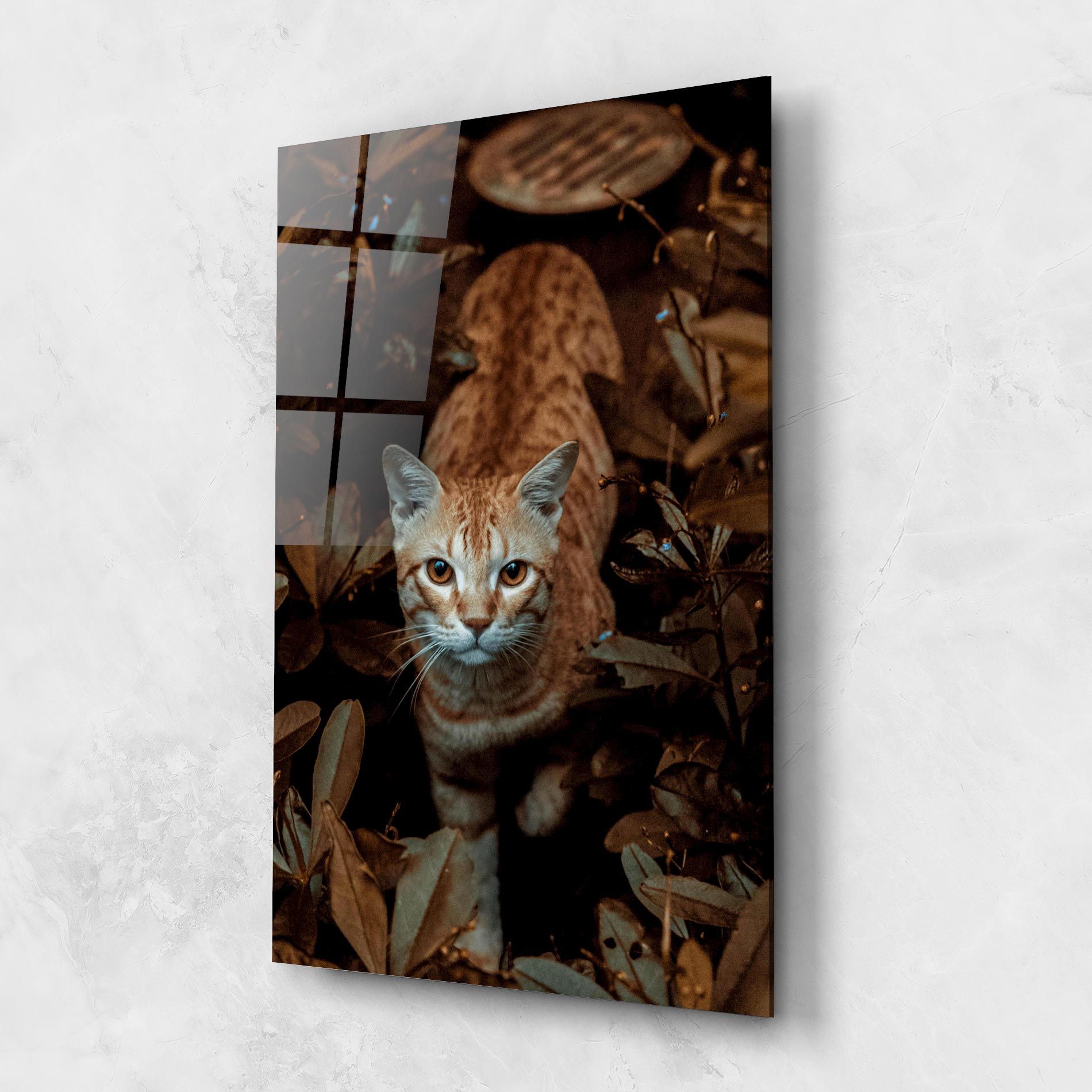 Autumn Orange Cat mockup 1