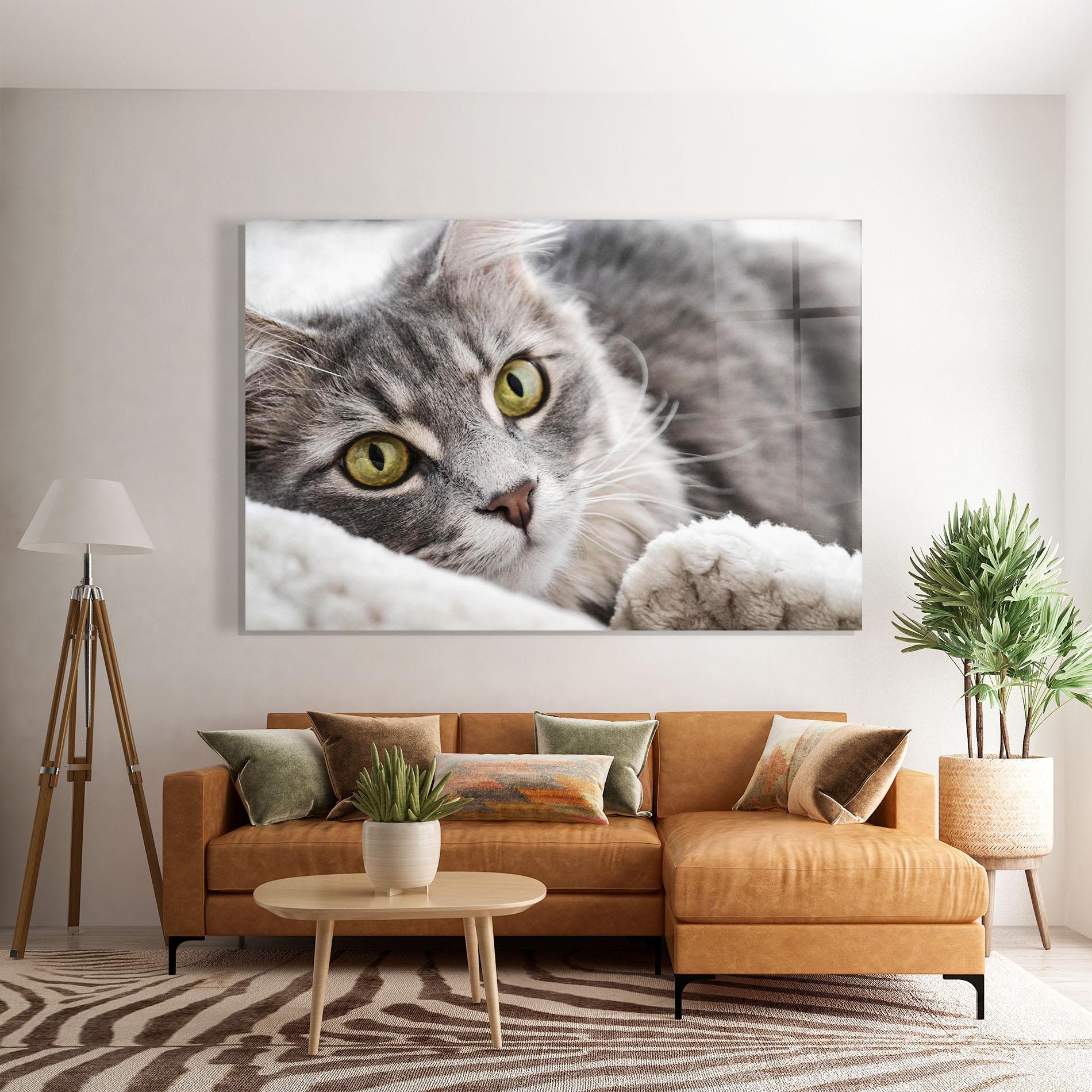 Стъклена картина Grey Fluffy Cat mockup 7