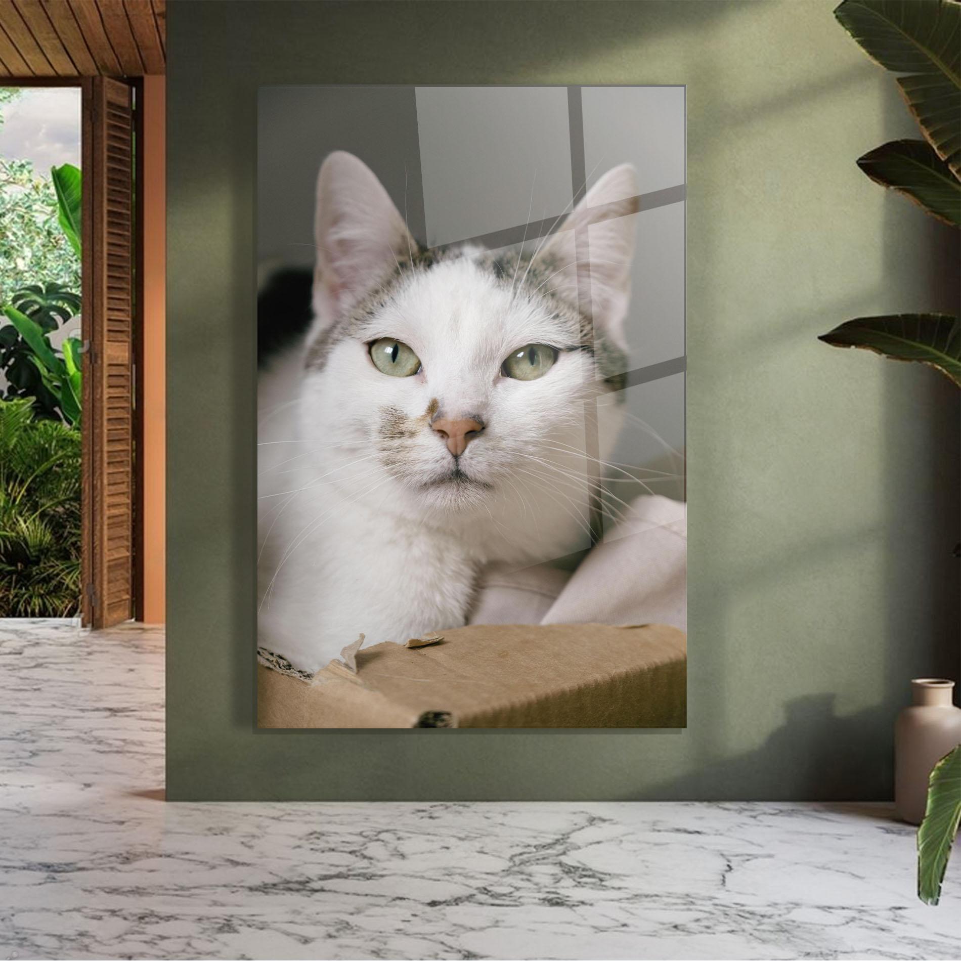 Стъклена картина Big Sleepy Cat mockup 7